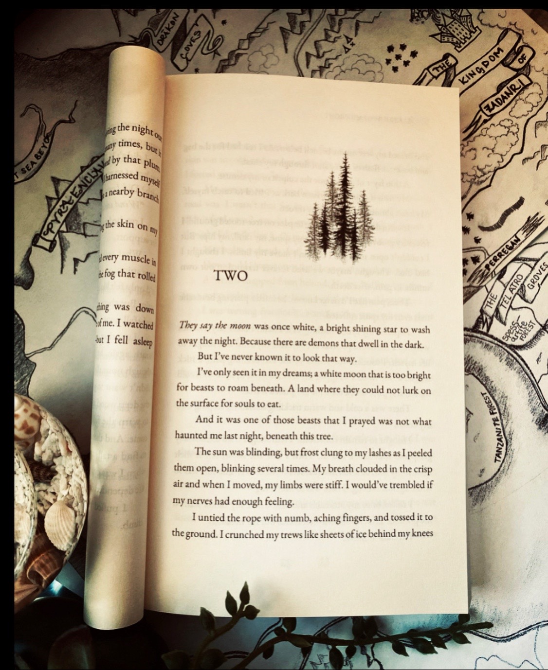 @Hailey | Fantasy Author