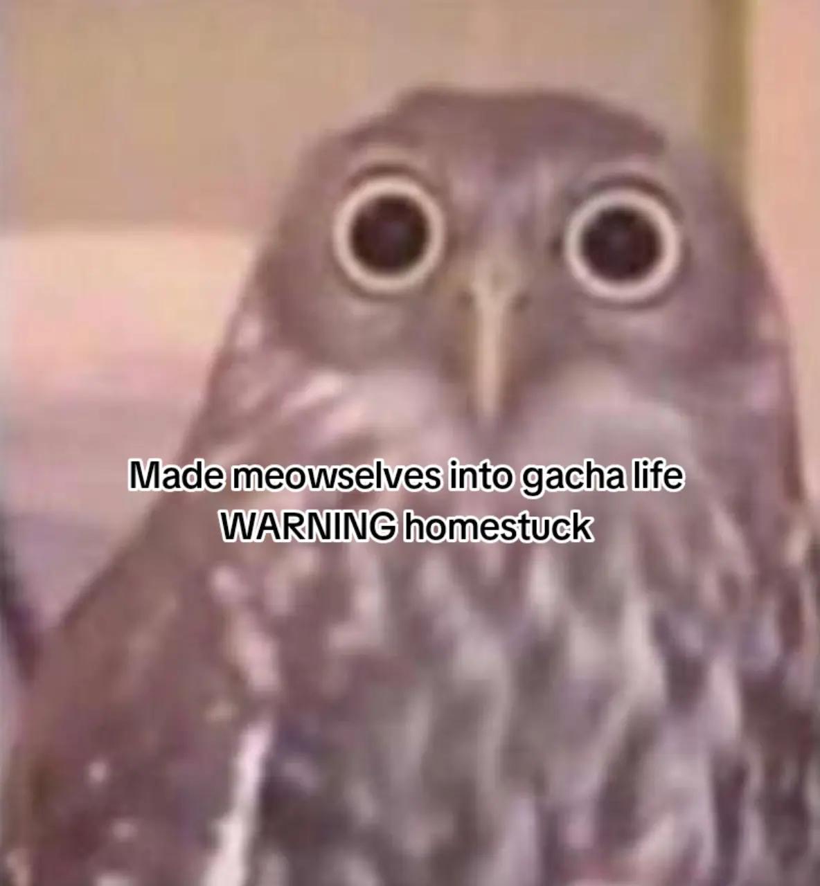 @𝚝𝚘𝚘 𝚖𝚊𝚗𝚢 𝚔𝚒𝚝𝚝𝚒𝚎𝚜