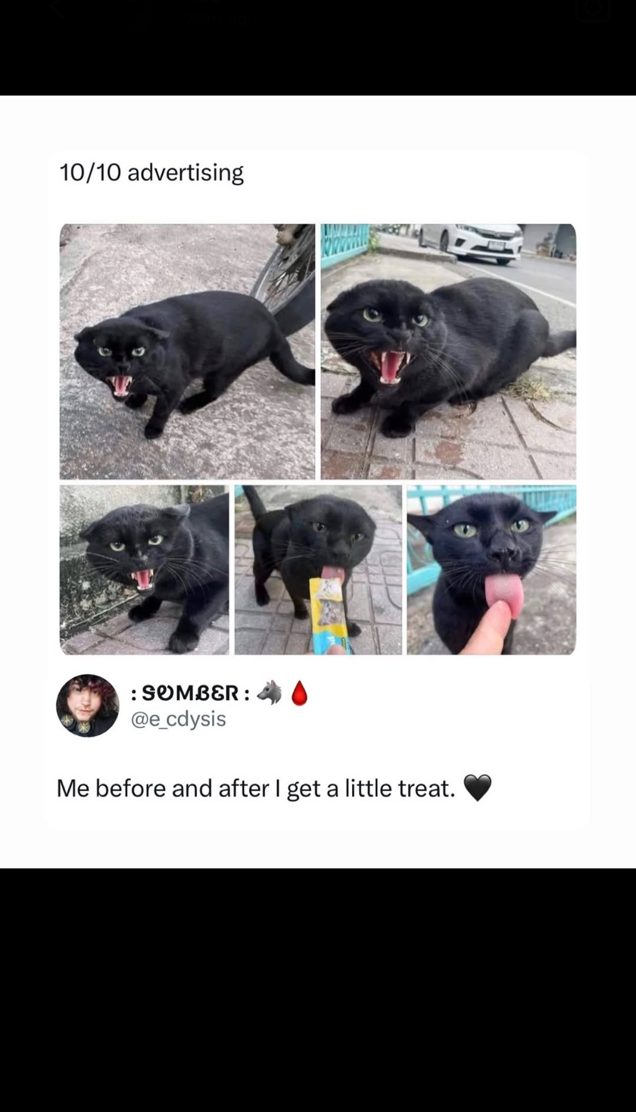 @Purrrrfect Moments