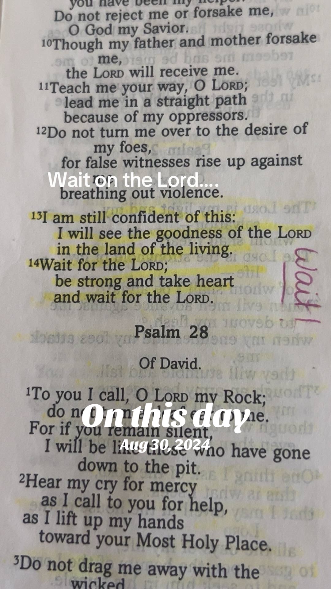 @Lisa Bogard (Bible Verse Lady)