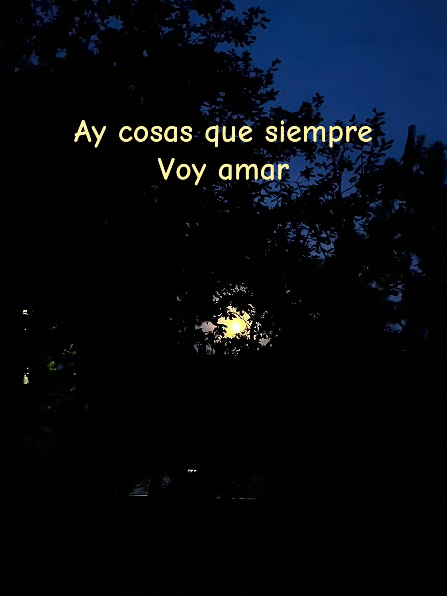 @issaa