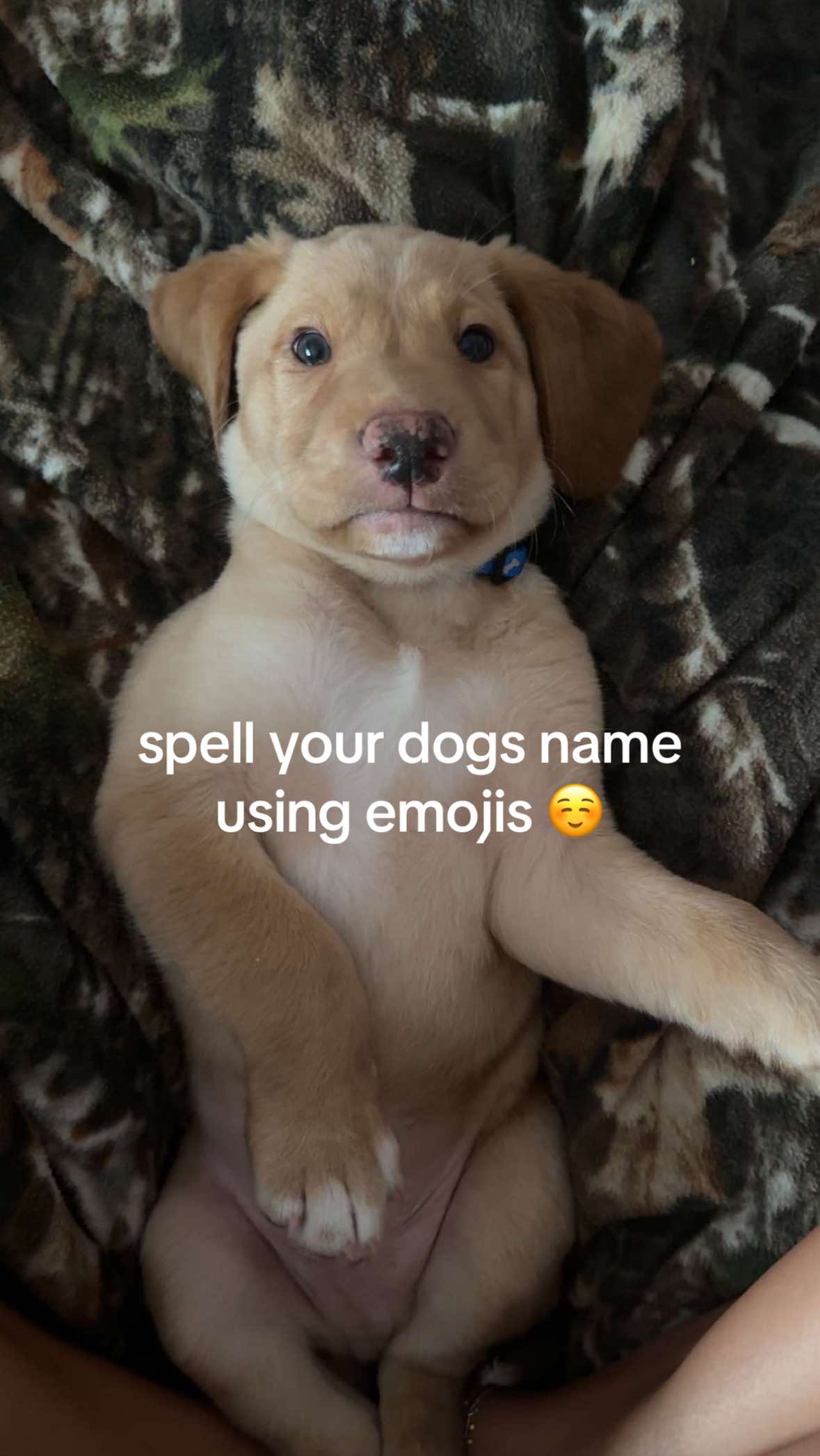 @Joslynn