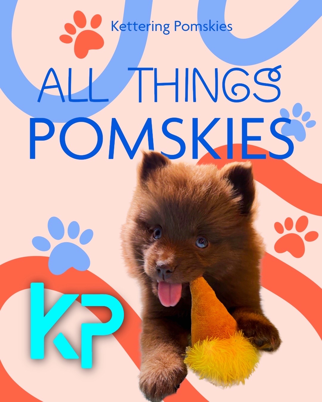 @Kettering Pomskies