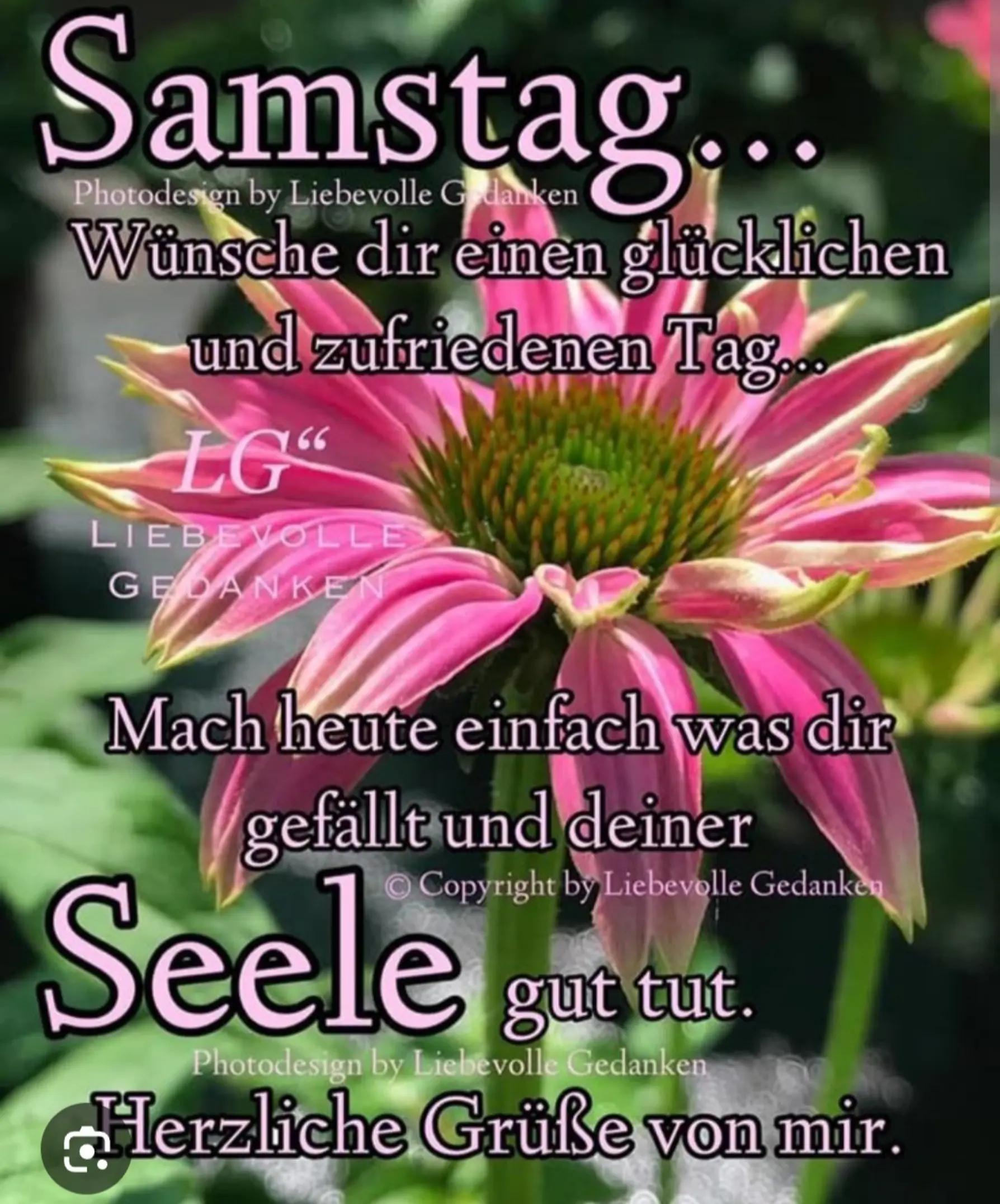 @Franziska🍀🇦🇹🍀