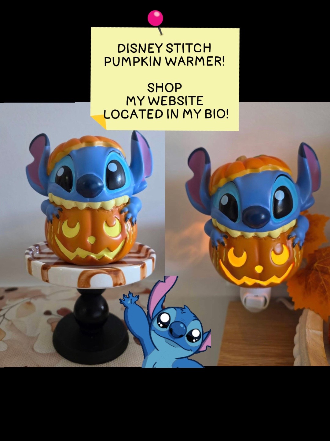 @tiktok_disney_family