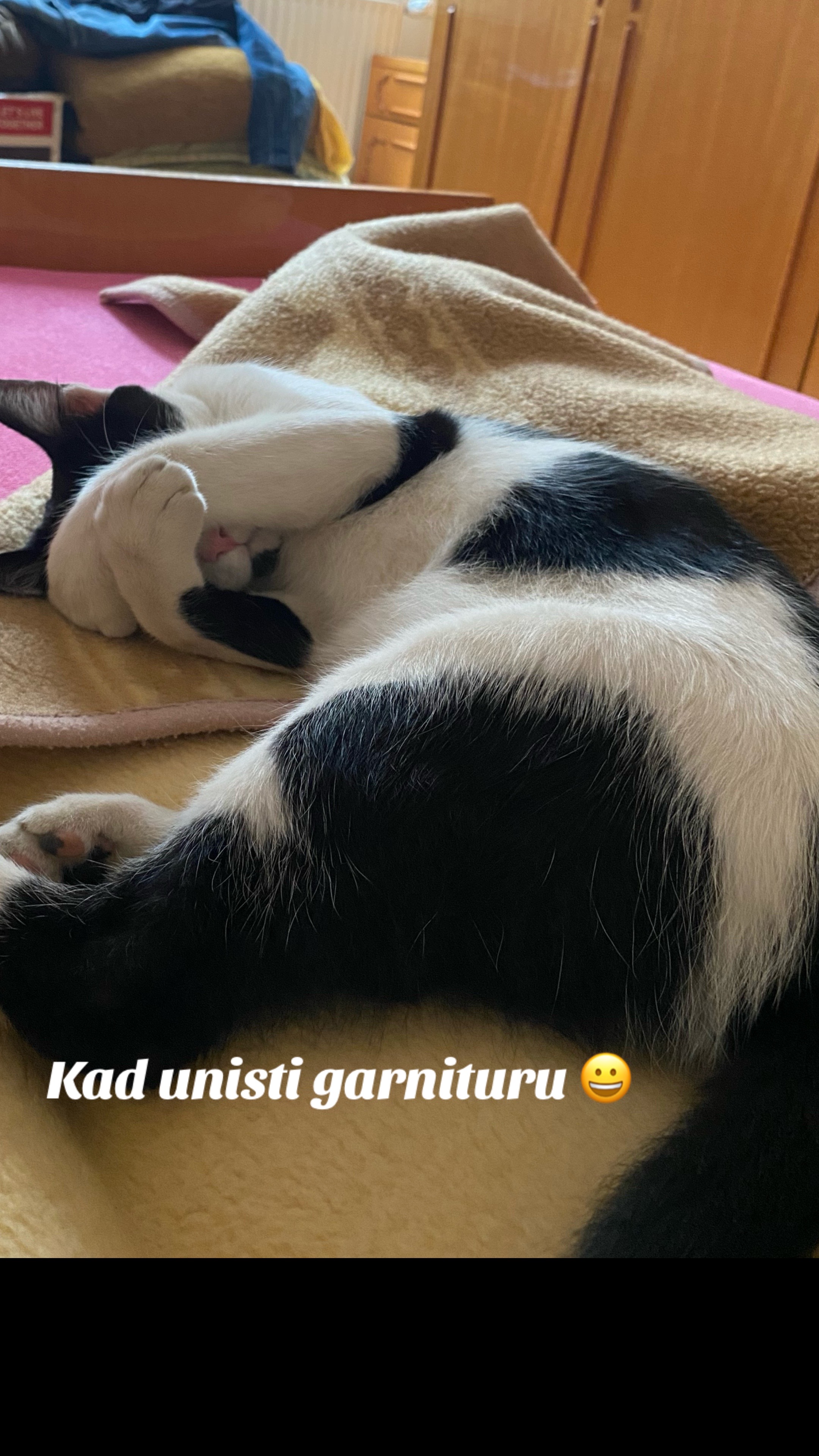 @Mira Jocić