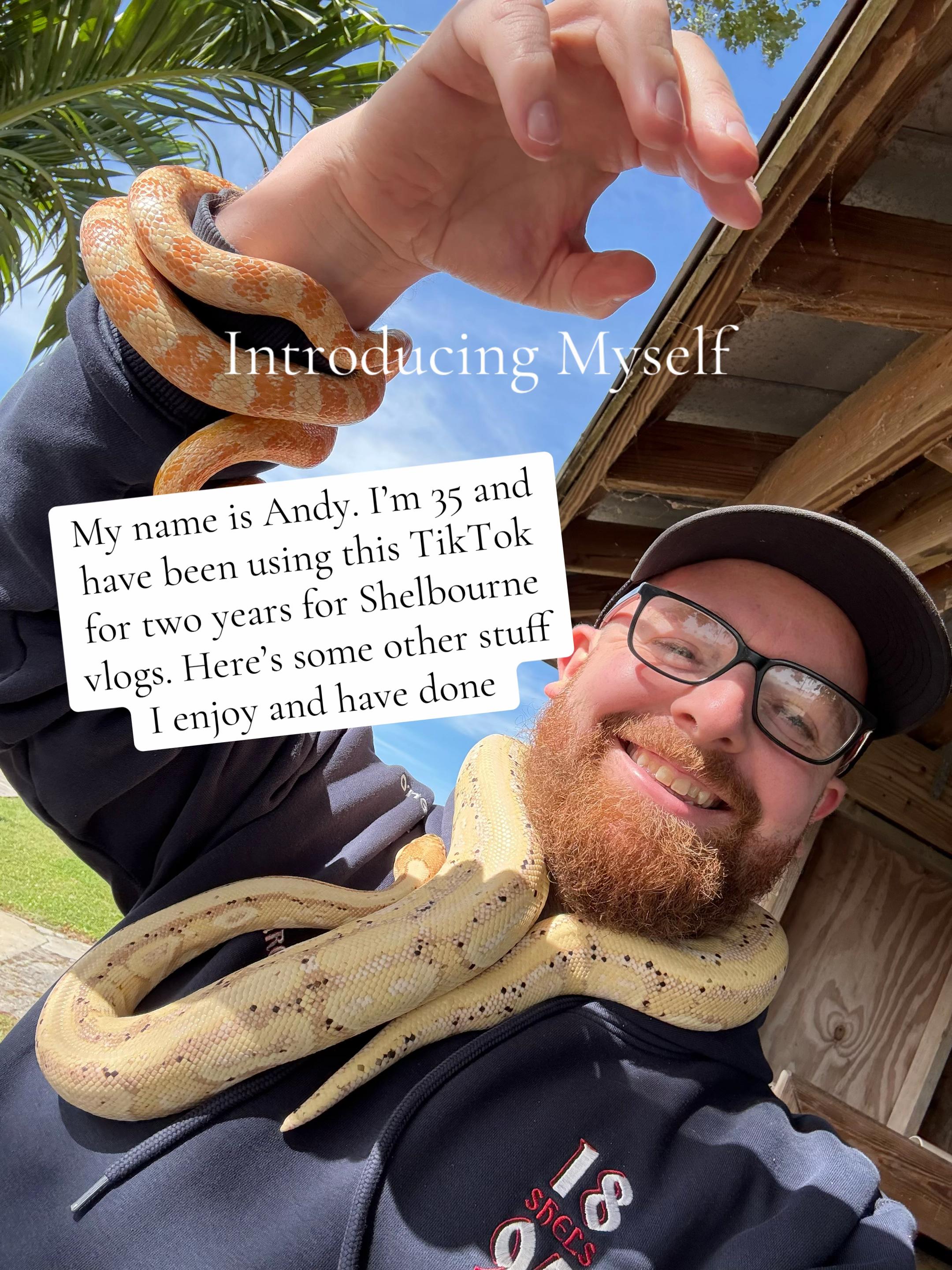 @andyshels