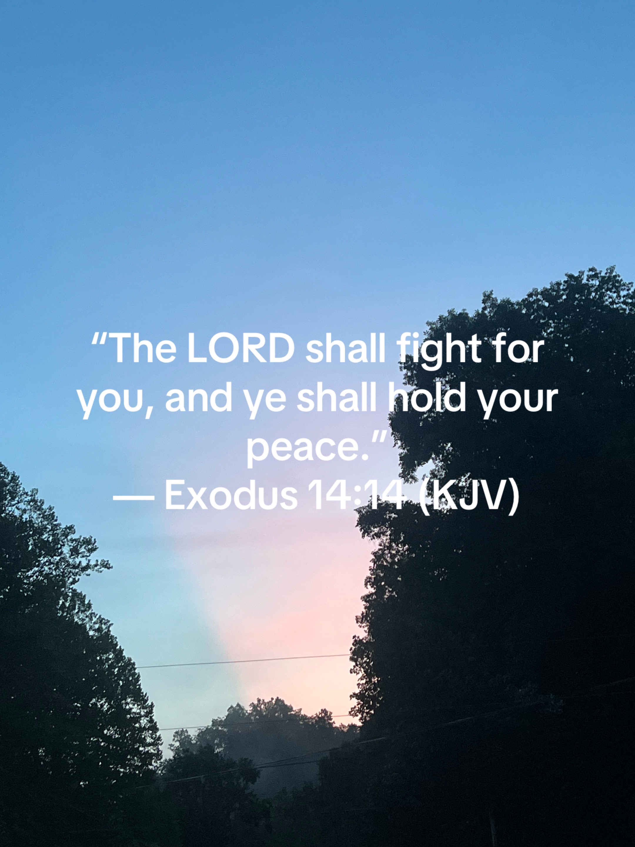 @Brandi 🌅🌄 🥉