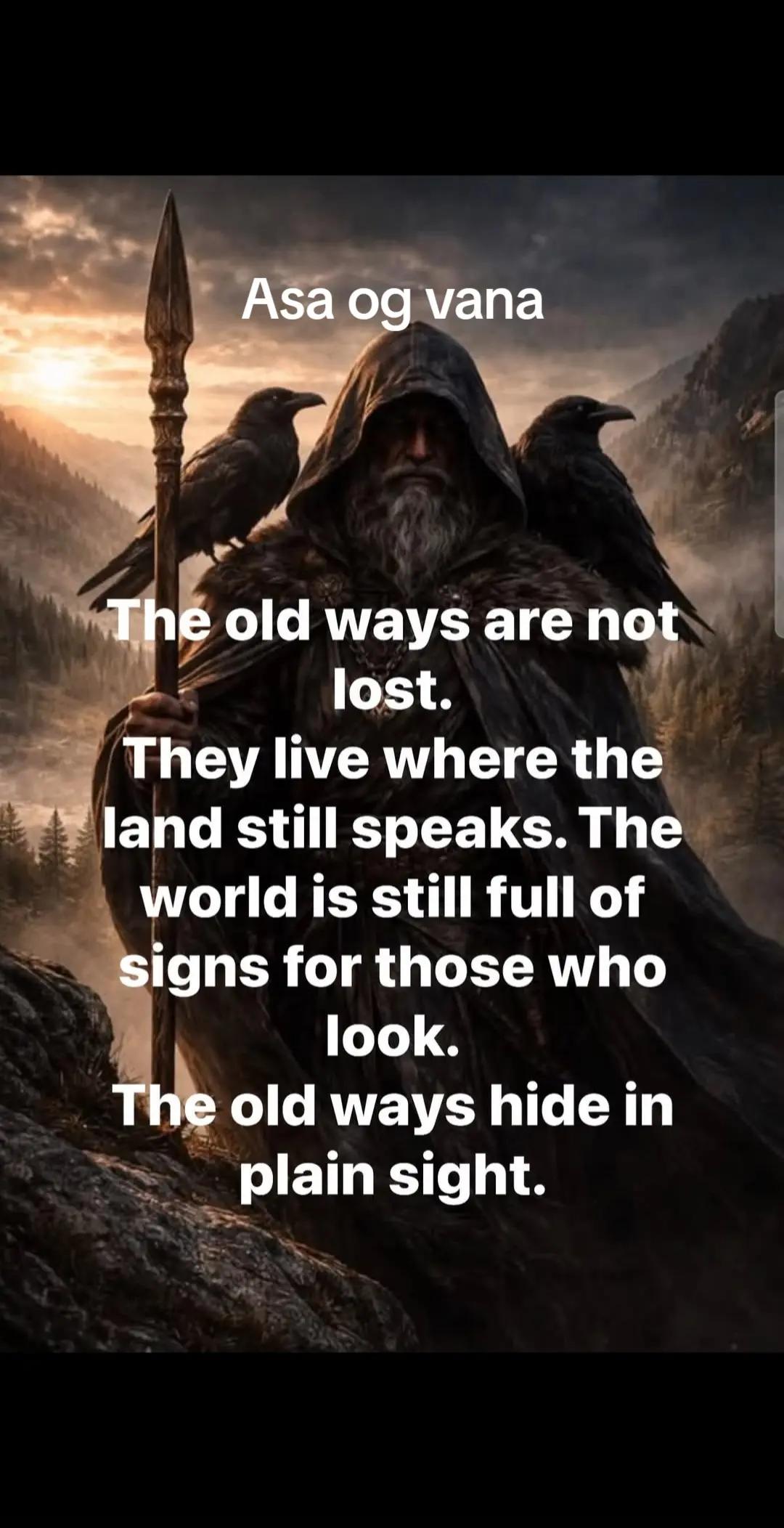 @Old man Berserker🪓Úlfheđnar