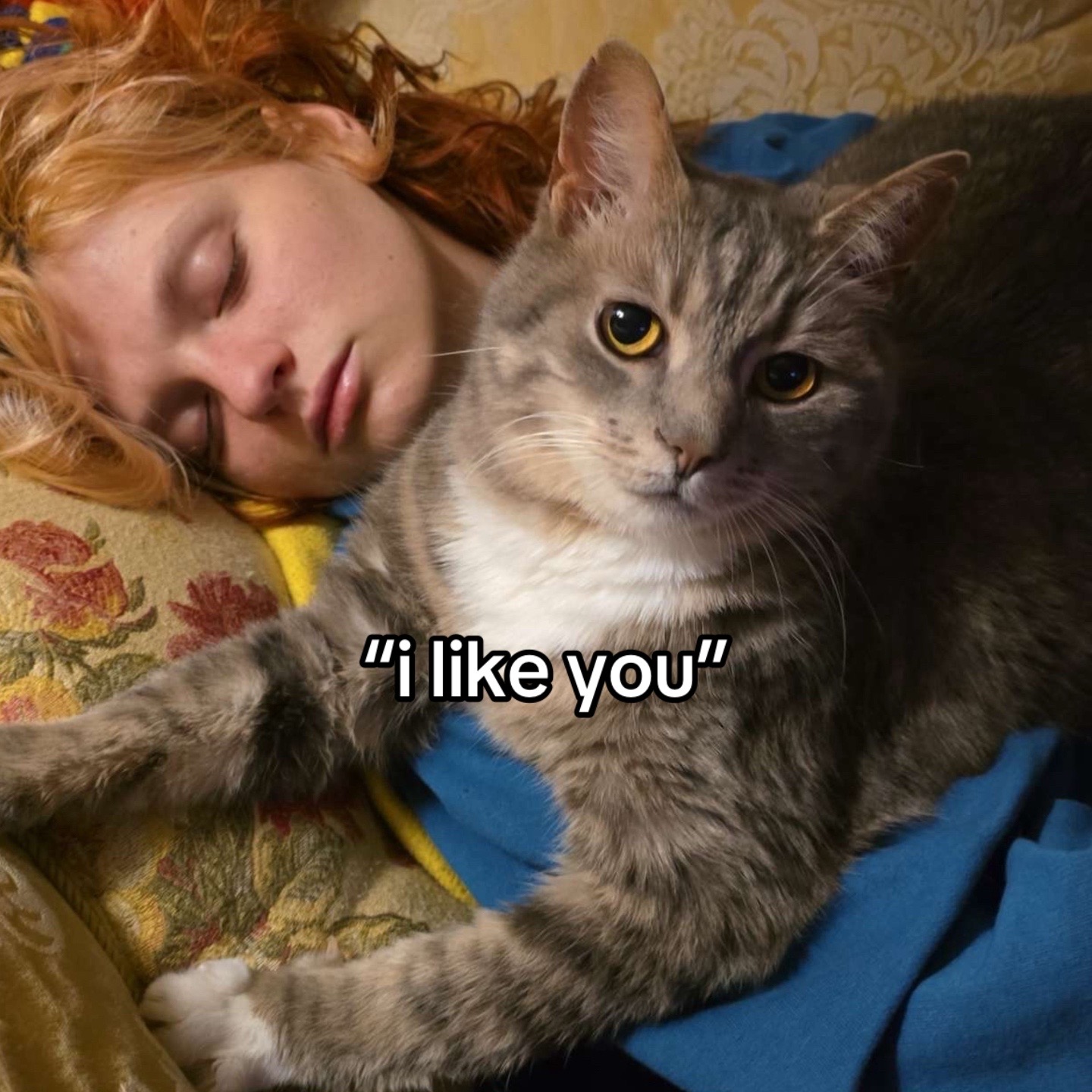 @otterly.orange