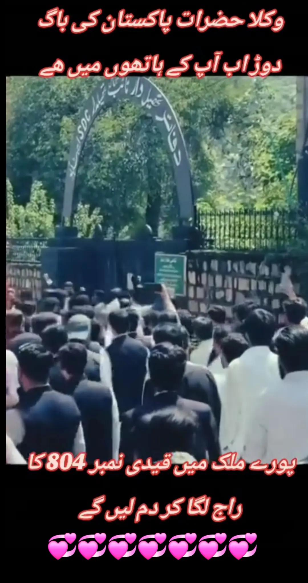 @اڈیالہ 804