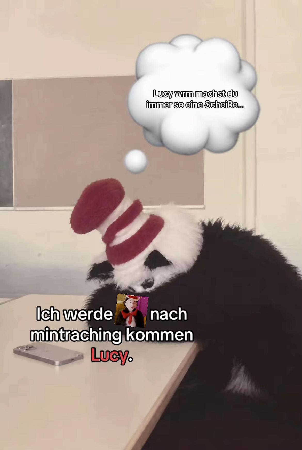 @catinthehathamm