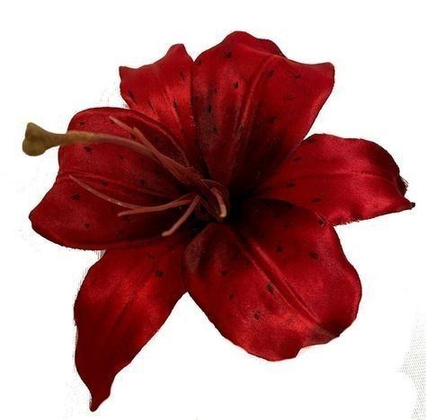 @(♡) : lㅇve, caseyliu [sb]