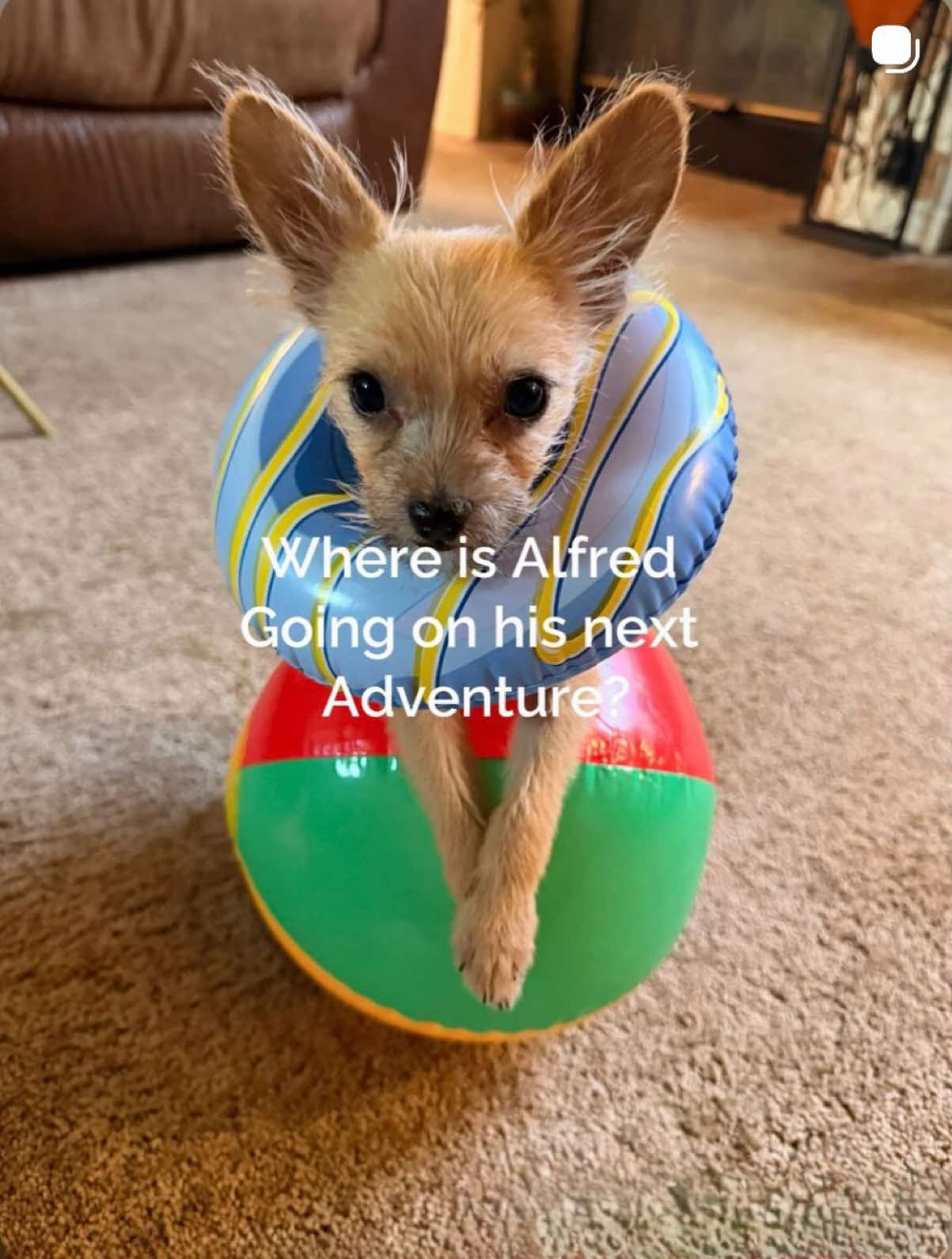 @Pearlsplace2020