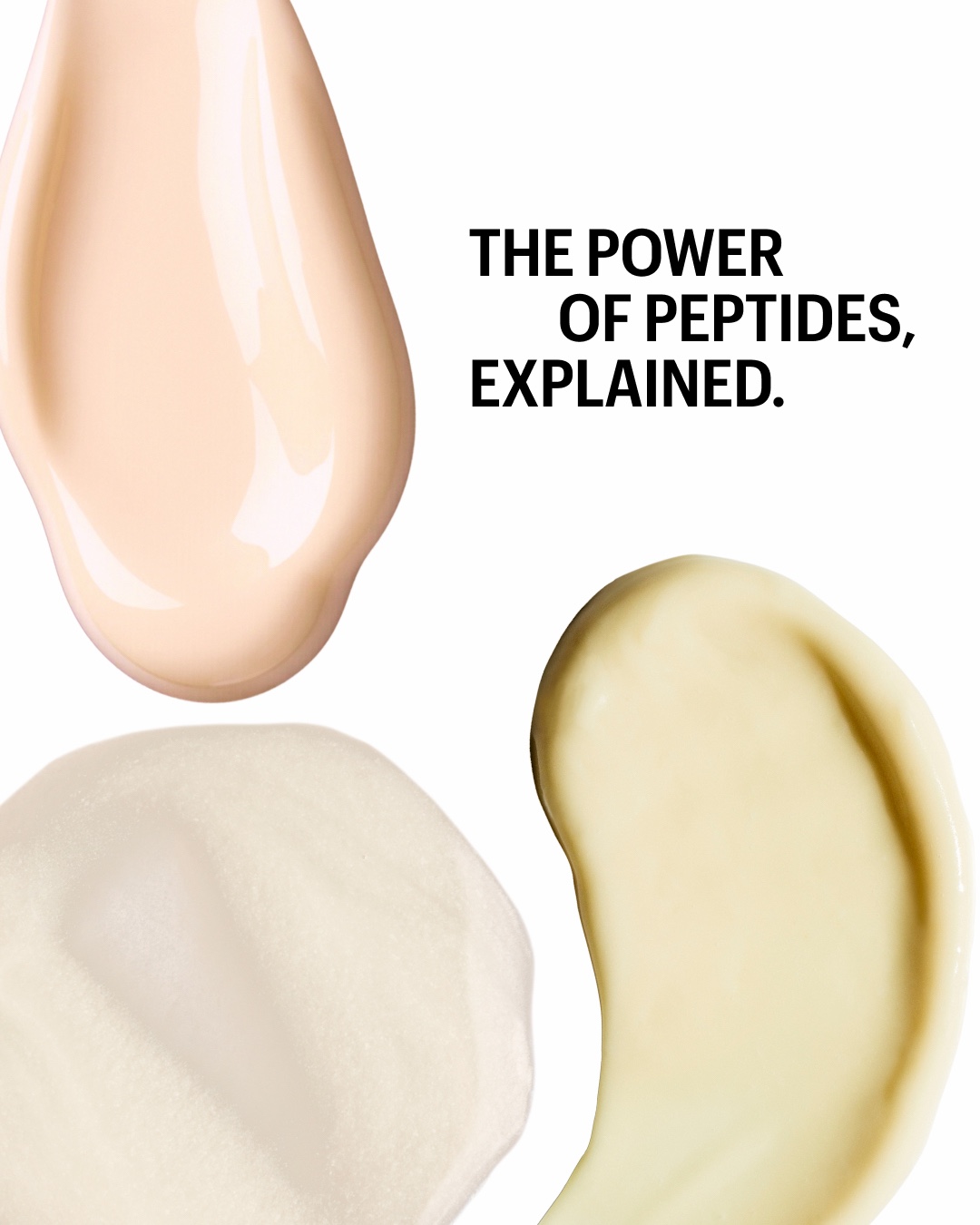@Allies of Skin