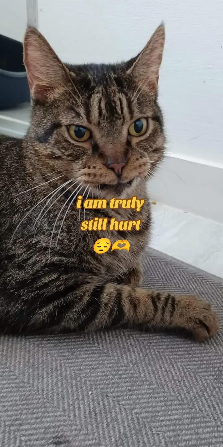 @stacey leigh🏳️🌈♀️♎