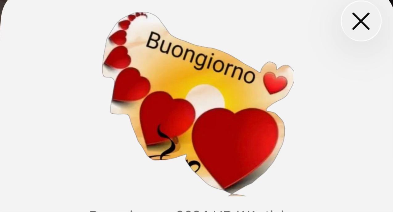@DORA TREGLIA