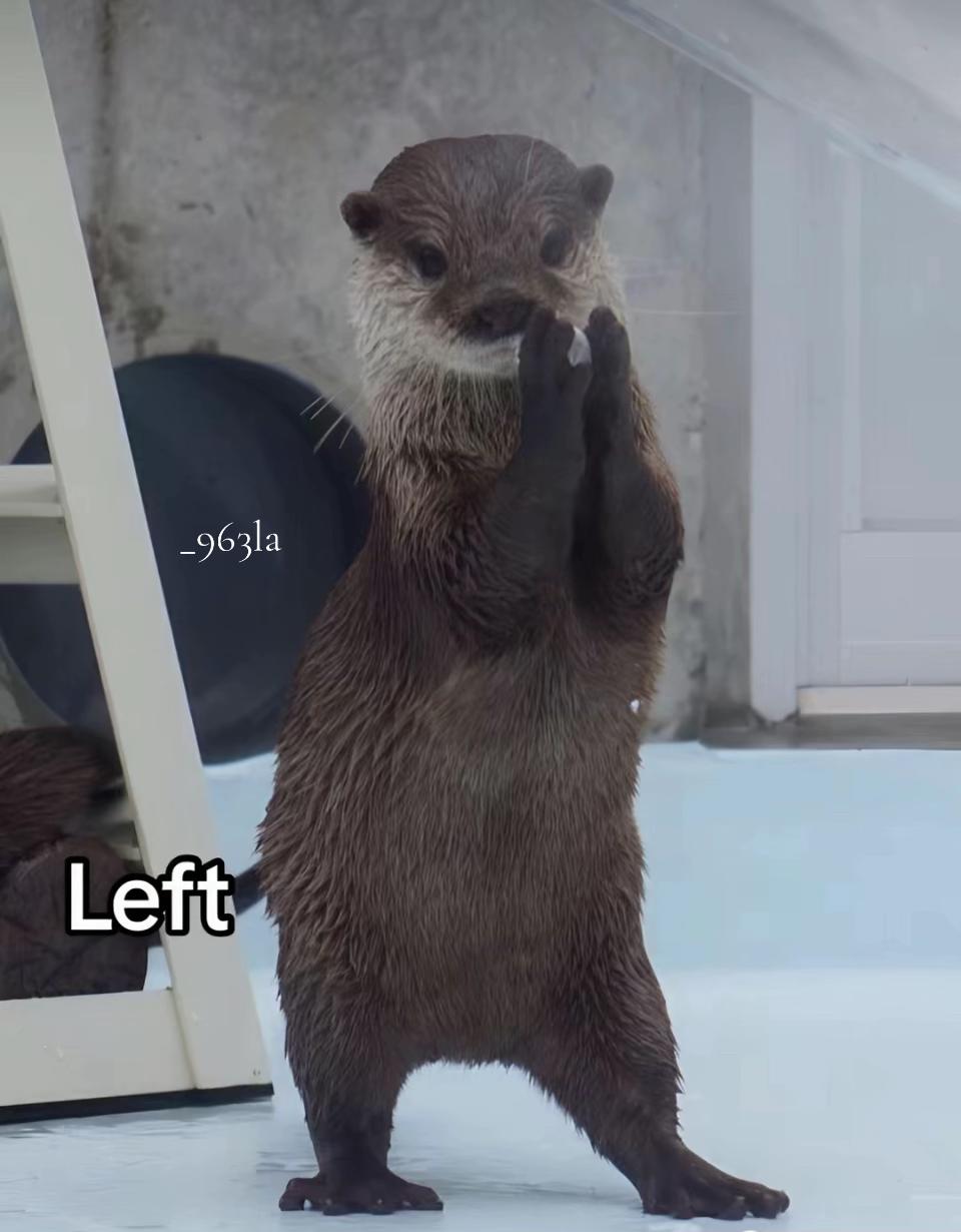 @.
