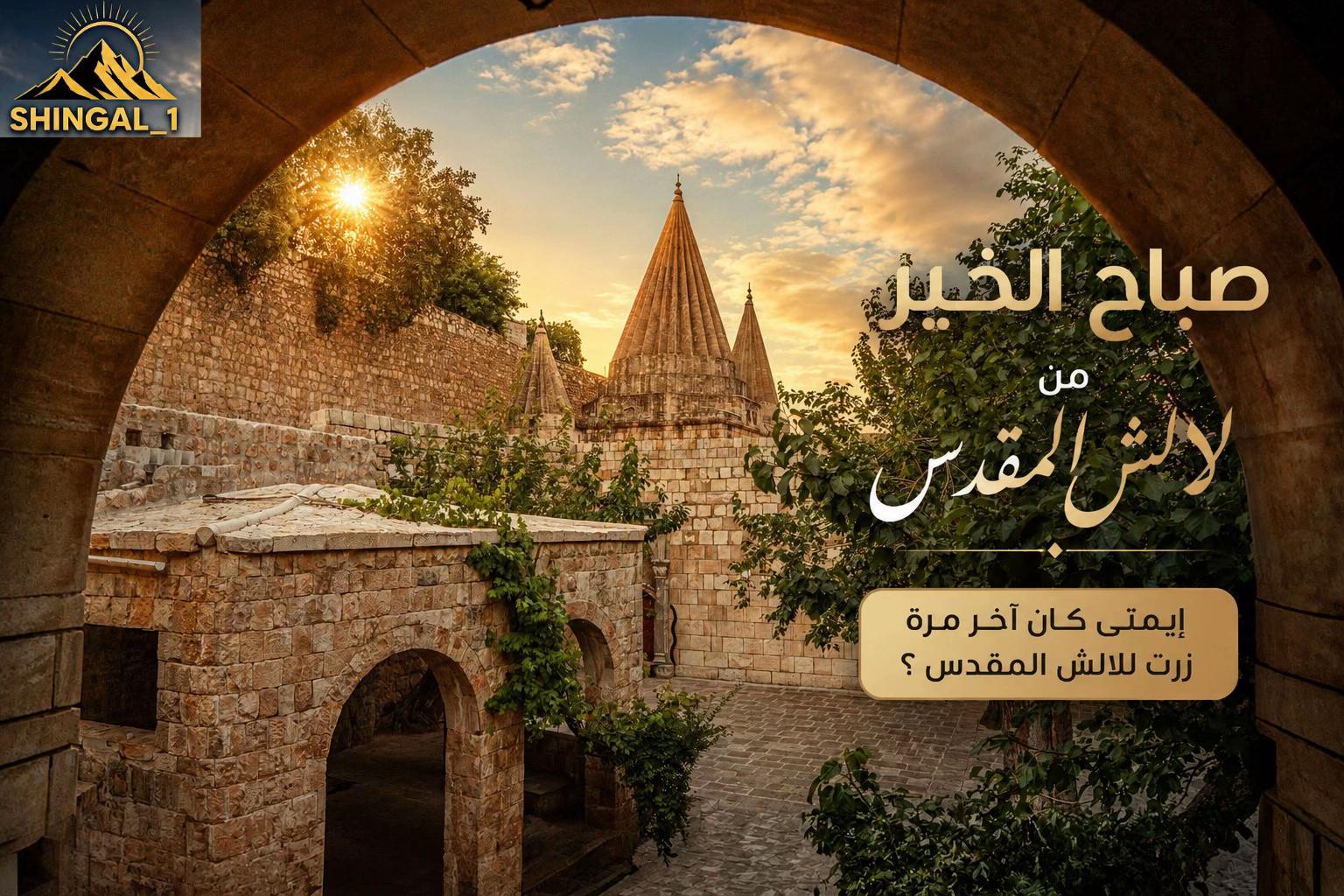 @shingal_1