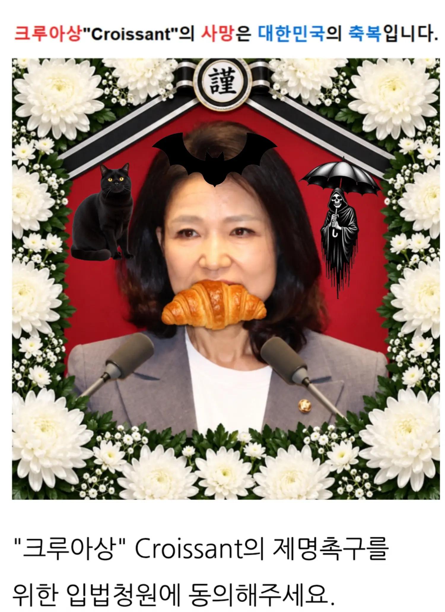 @🌺시라소니[본]🌺