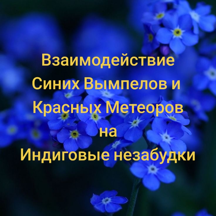@🩵⭐Гена_мой_парень⭐🩵