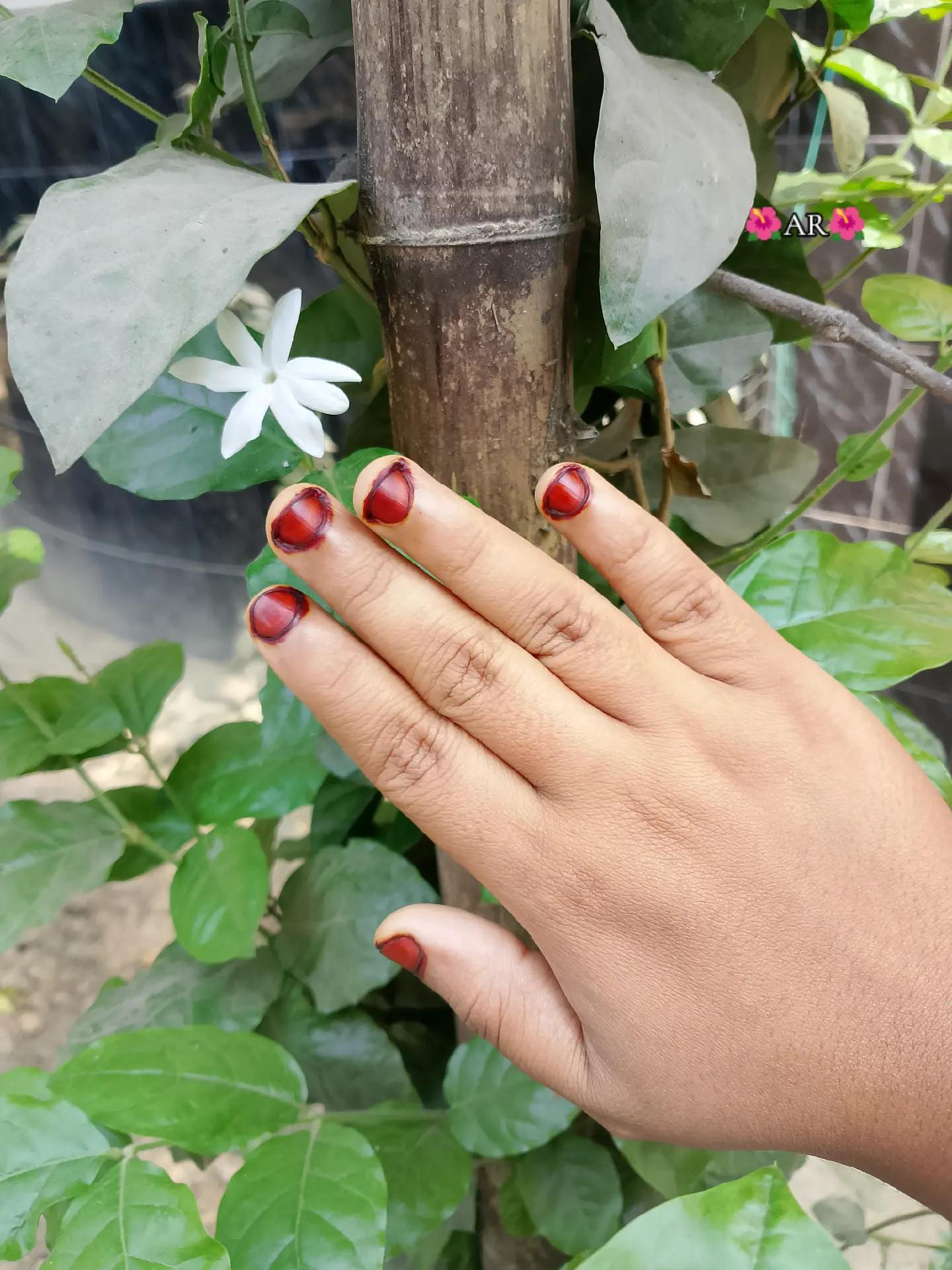 @🕊️🌷Pakhi🌷🕊️