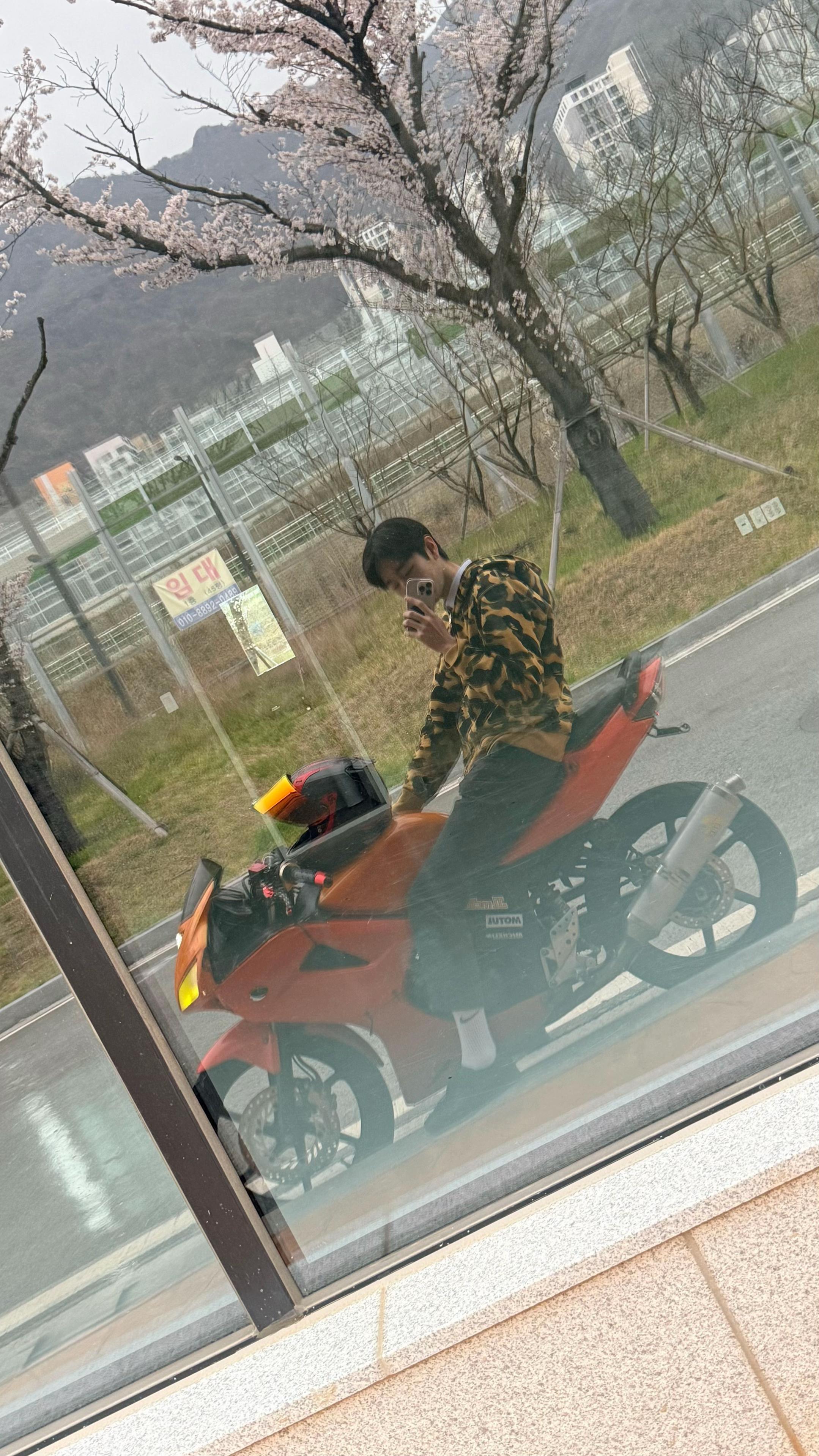 @레오빈스