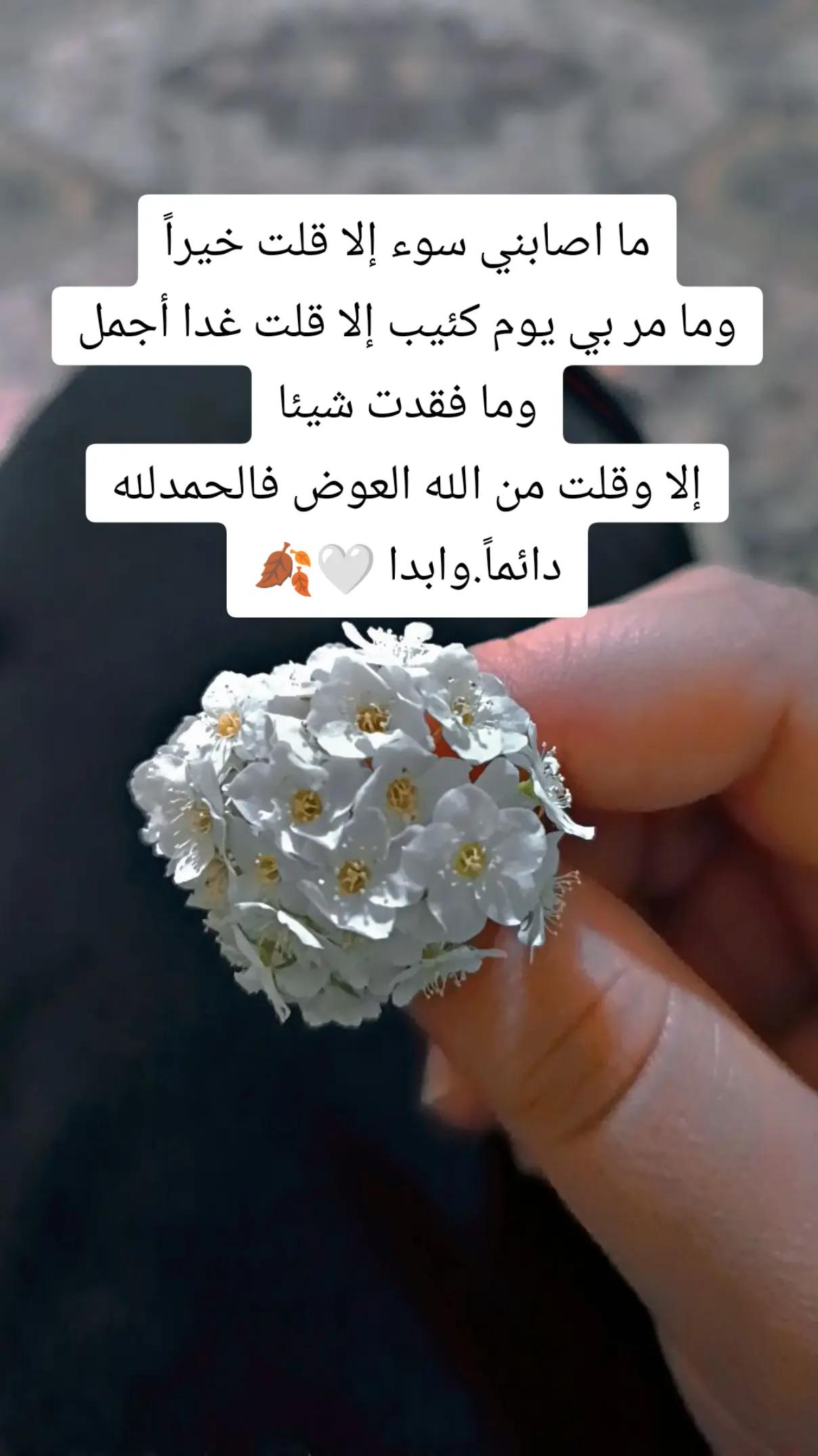 @𓍼𝖗𝖎𝖙𝖆🤎°•