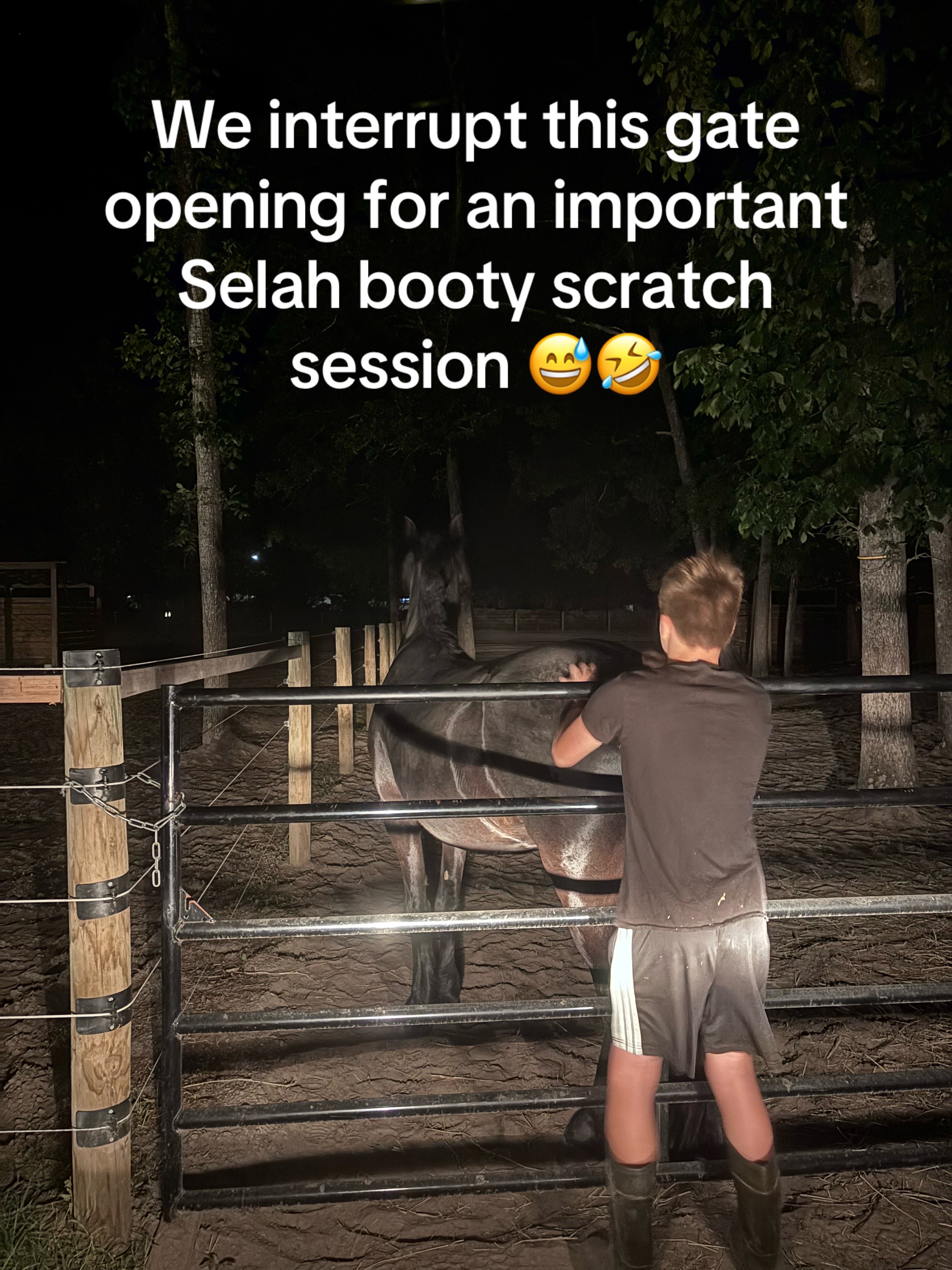 @itiswellstables
