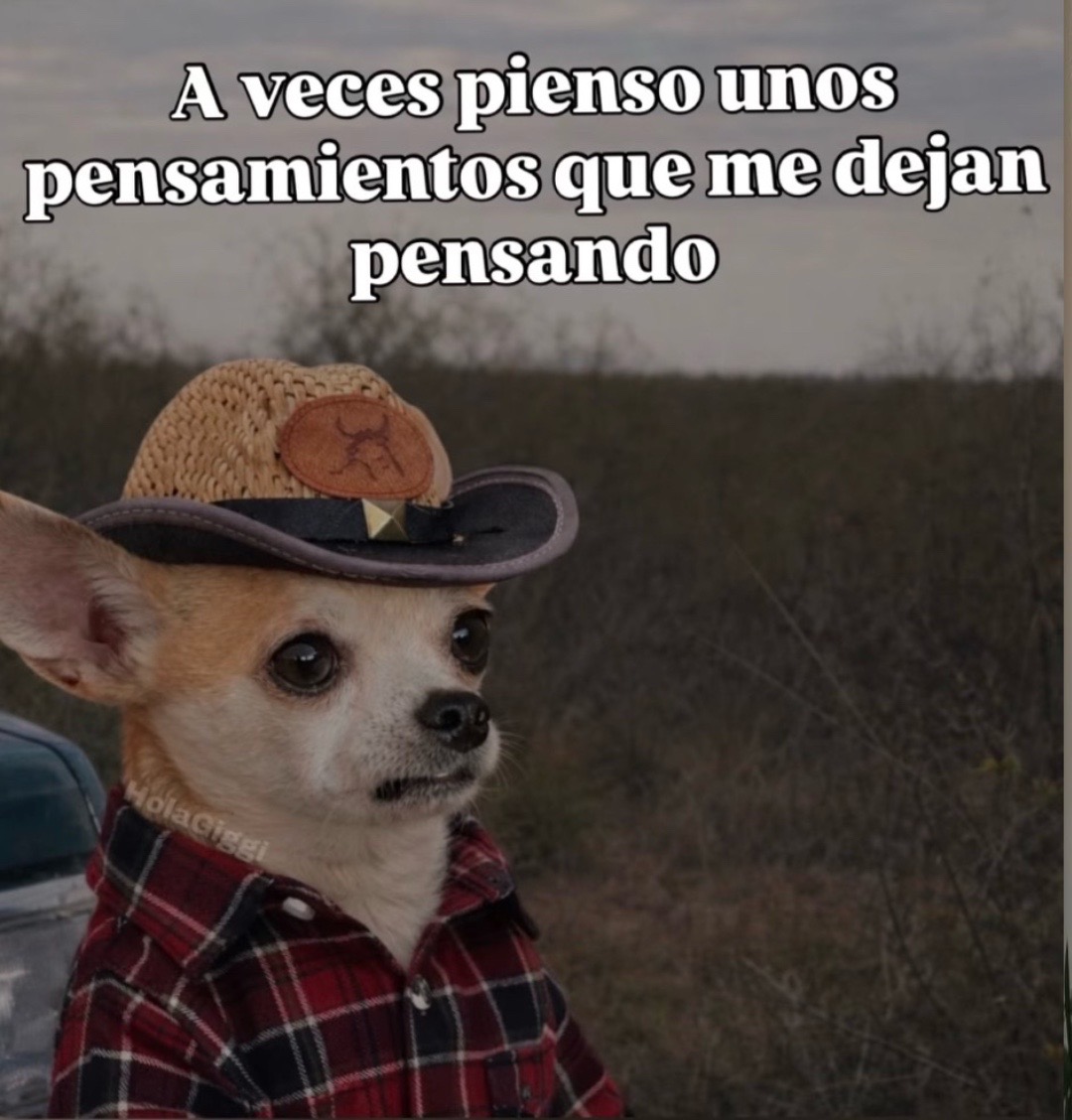 @PekitasM