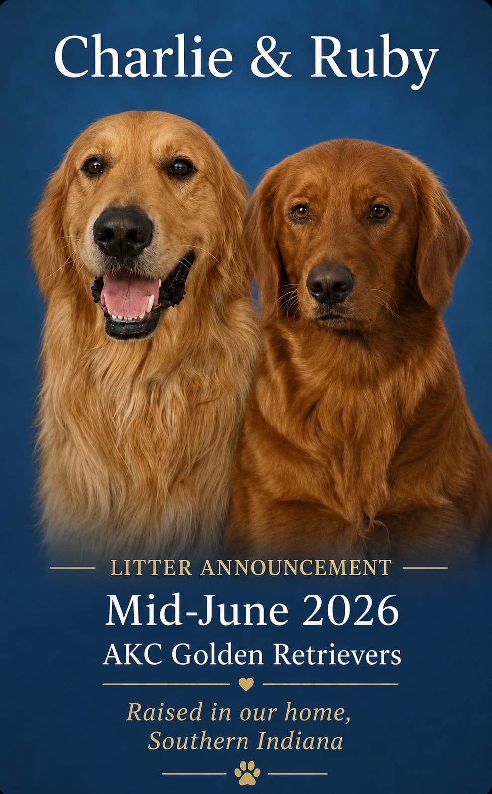 @Sages Goldens