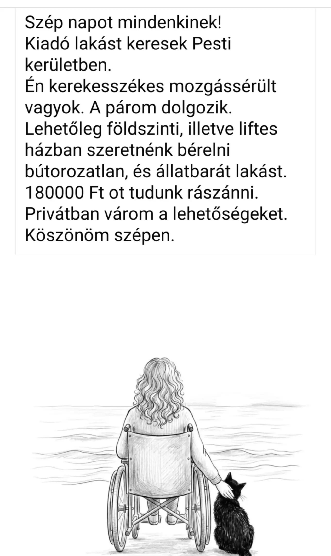 @Kócos