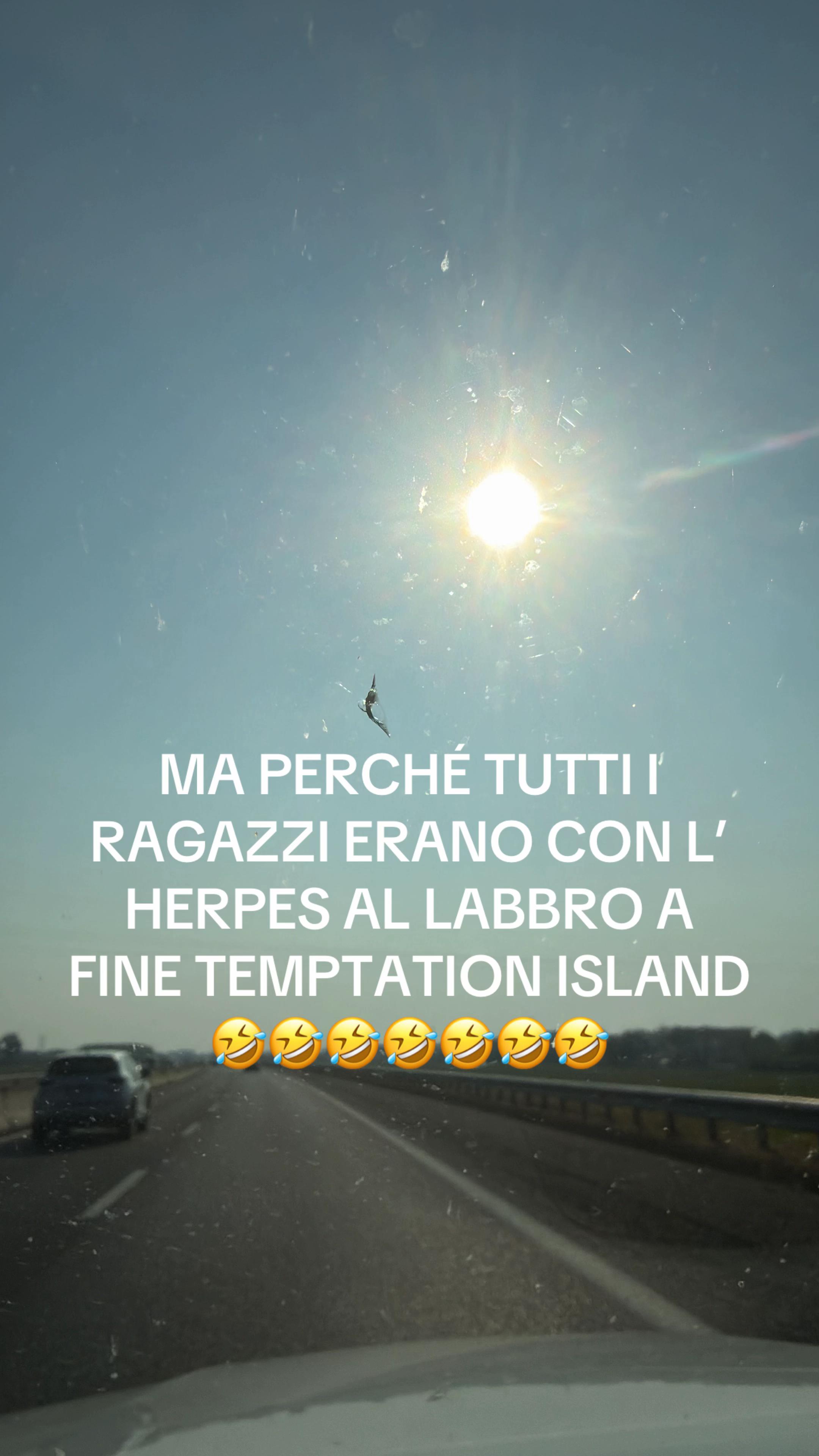 @Niko Davico