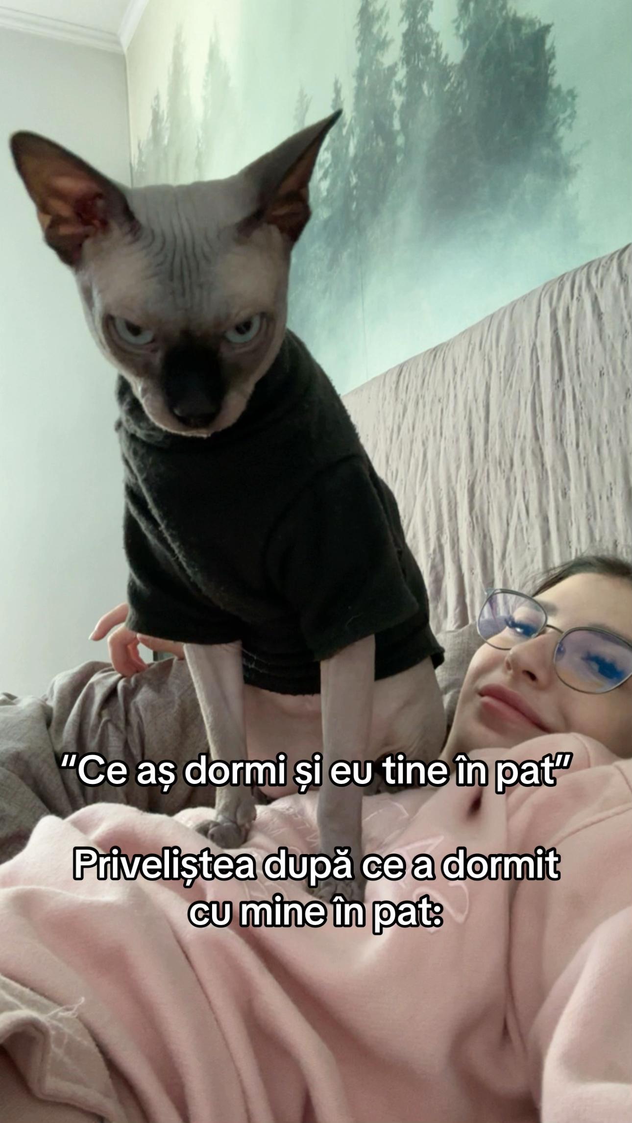 @evatnd_