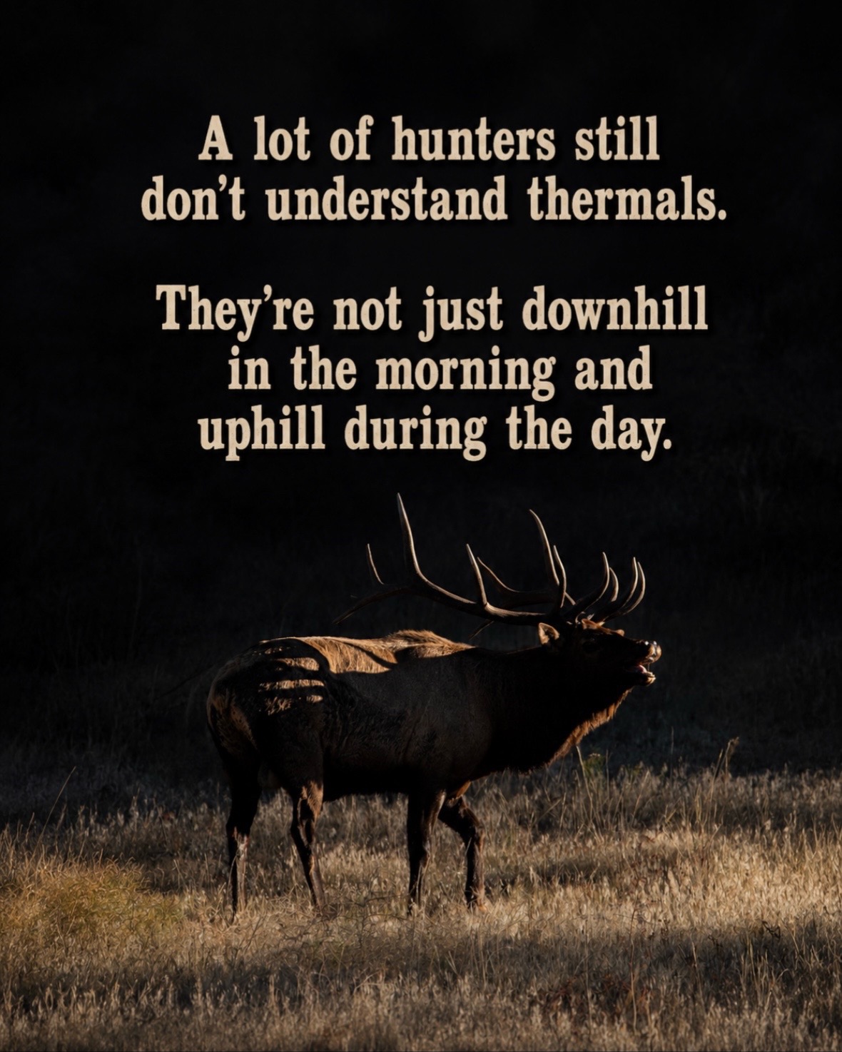 @Wild Born Outdoors - Saxton