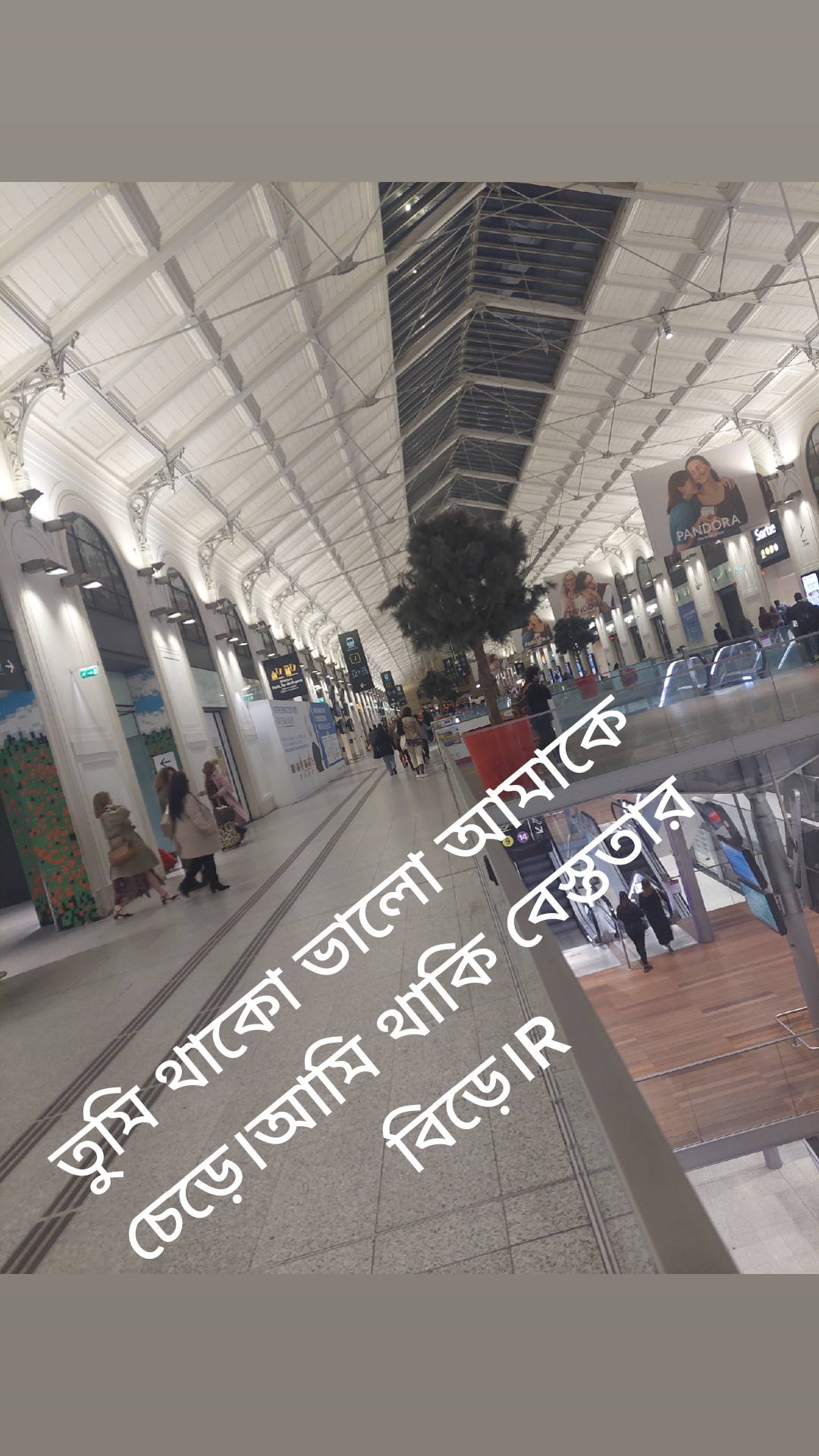 @sumonahmed5243