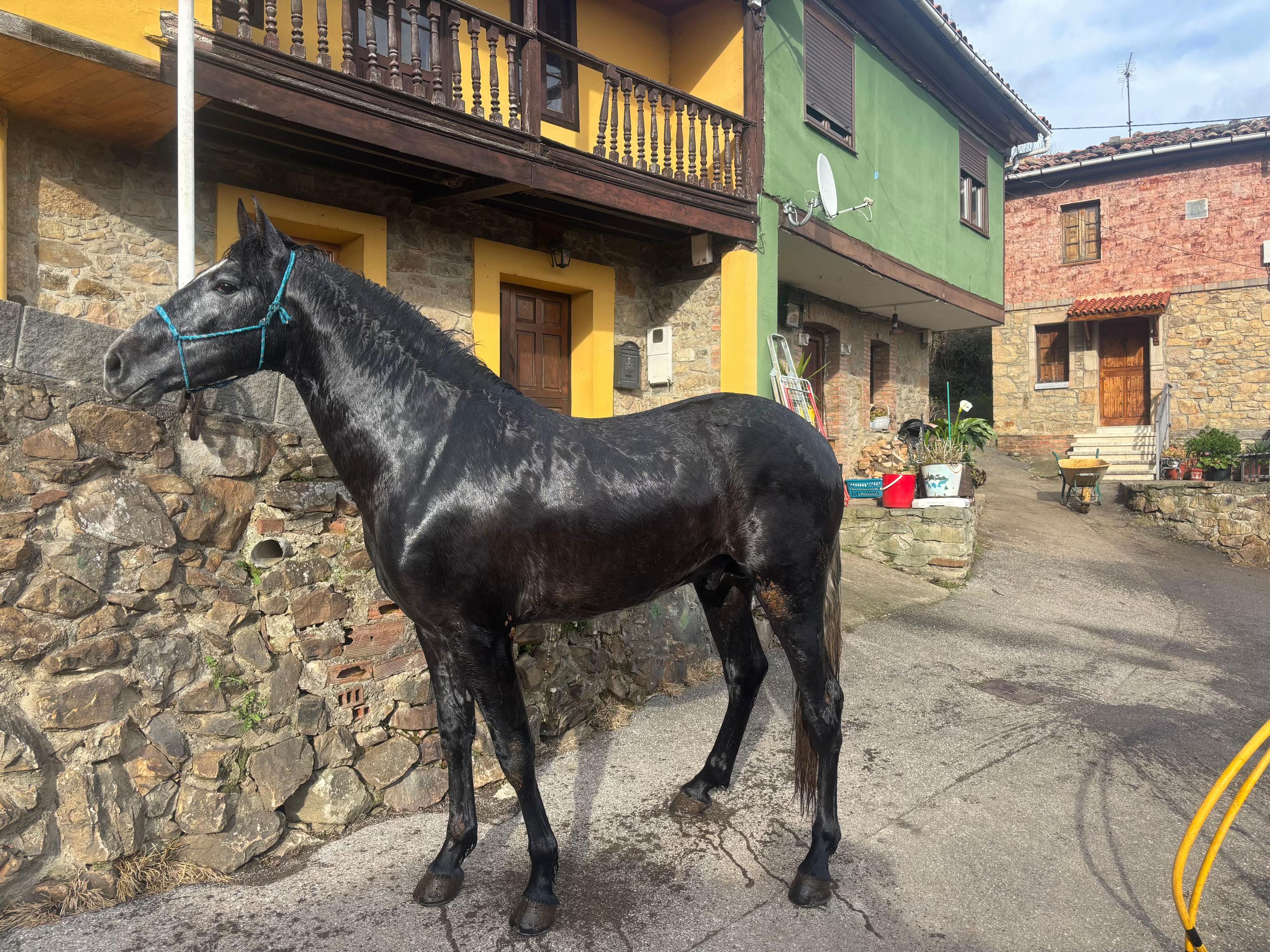 @Santi De La Grana