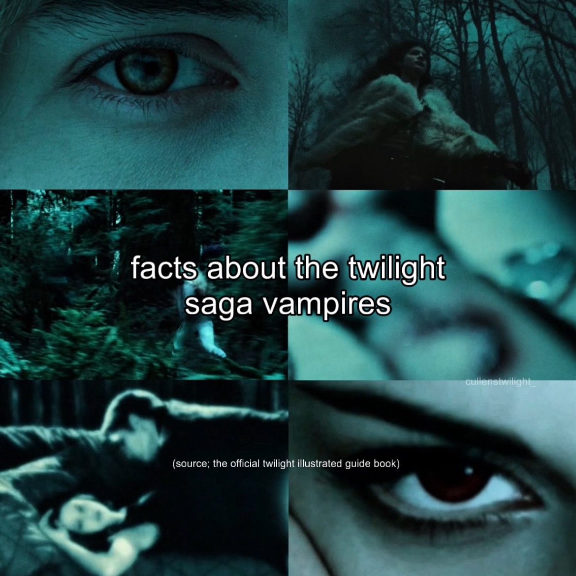 @ꩇׁׅ݊ɑׁׅ֮ꫀׁׅ || twilight saga ❦