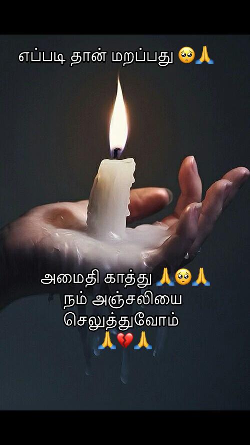 @🌴🐅பனைமரம்🐅🌴