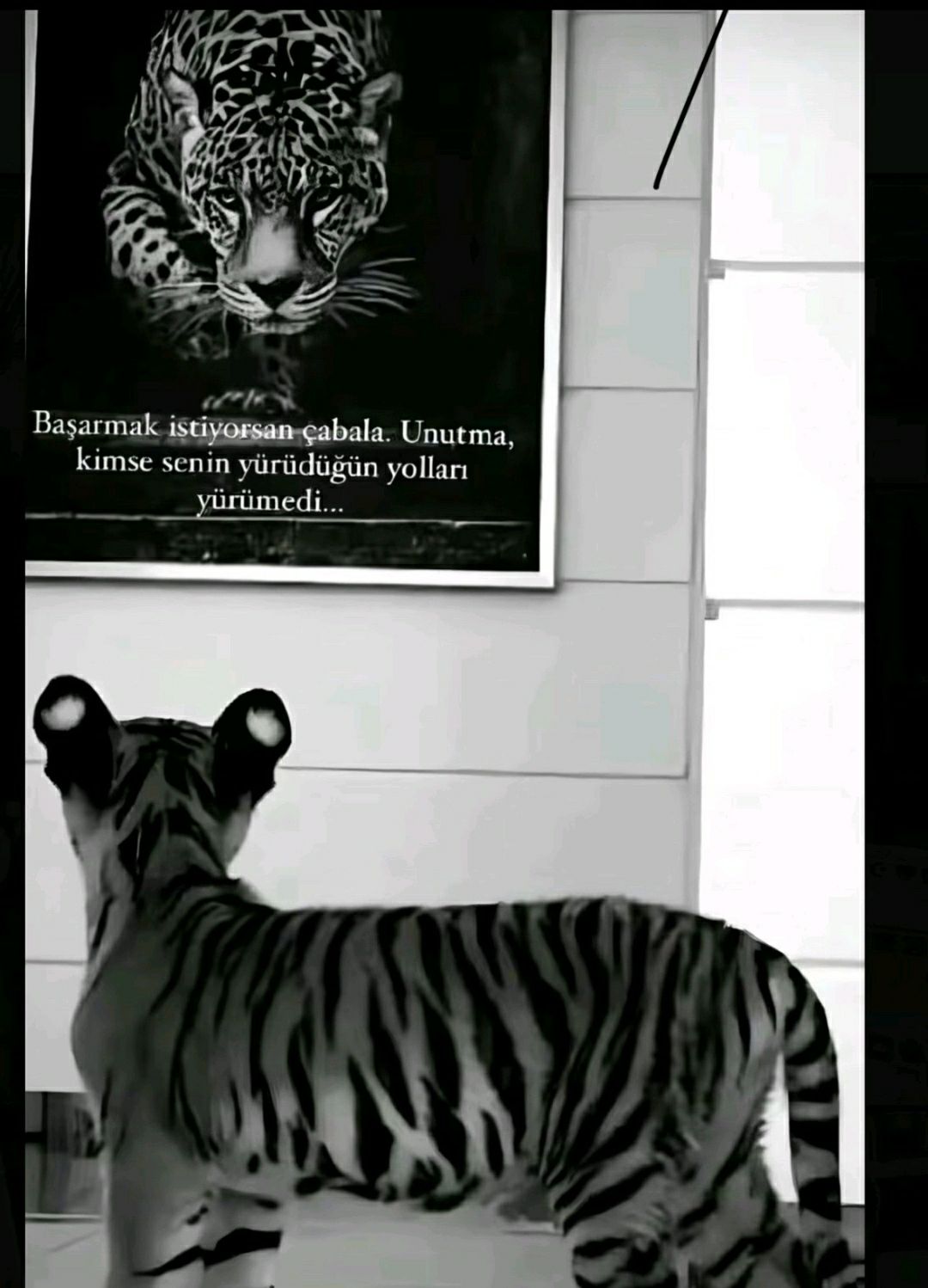 @SERVAN HRN