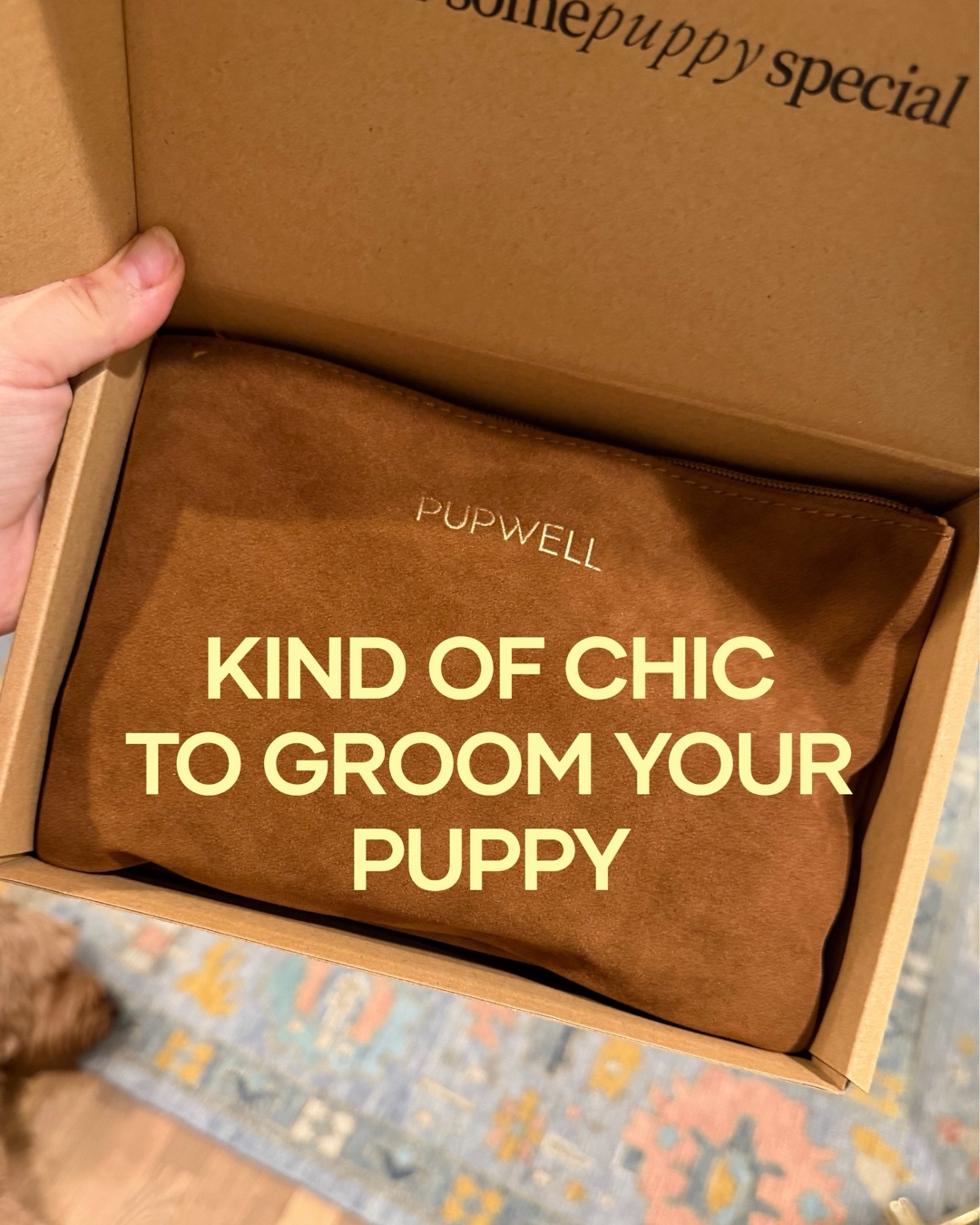 @Pupwell