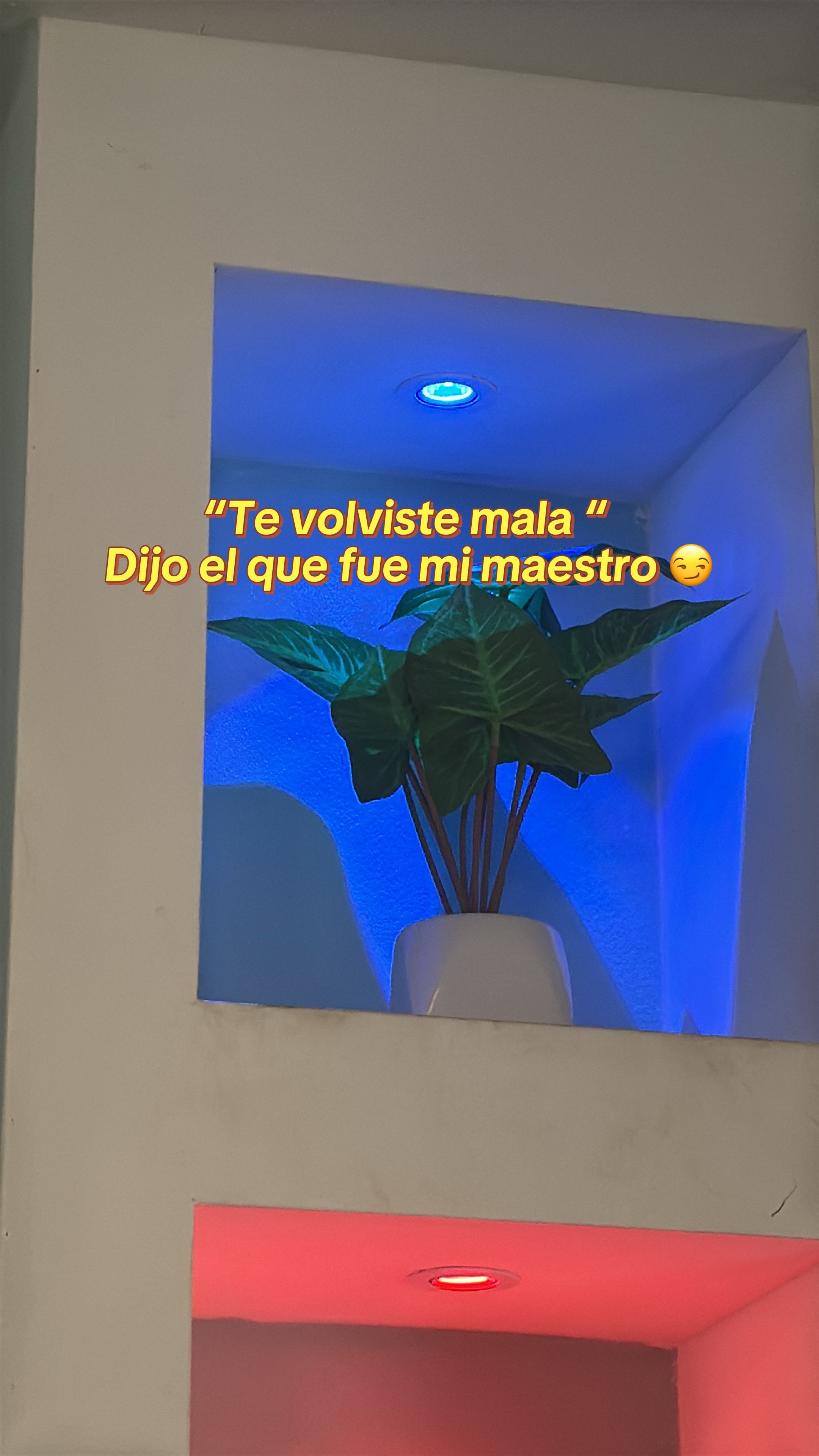 @Soraida