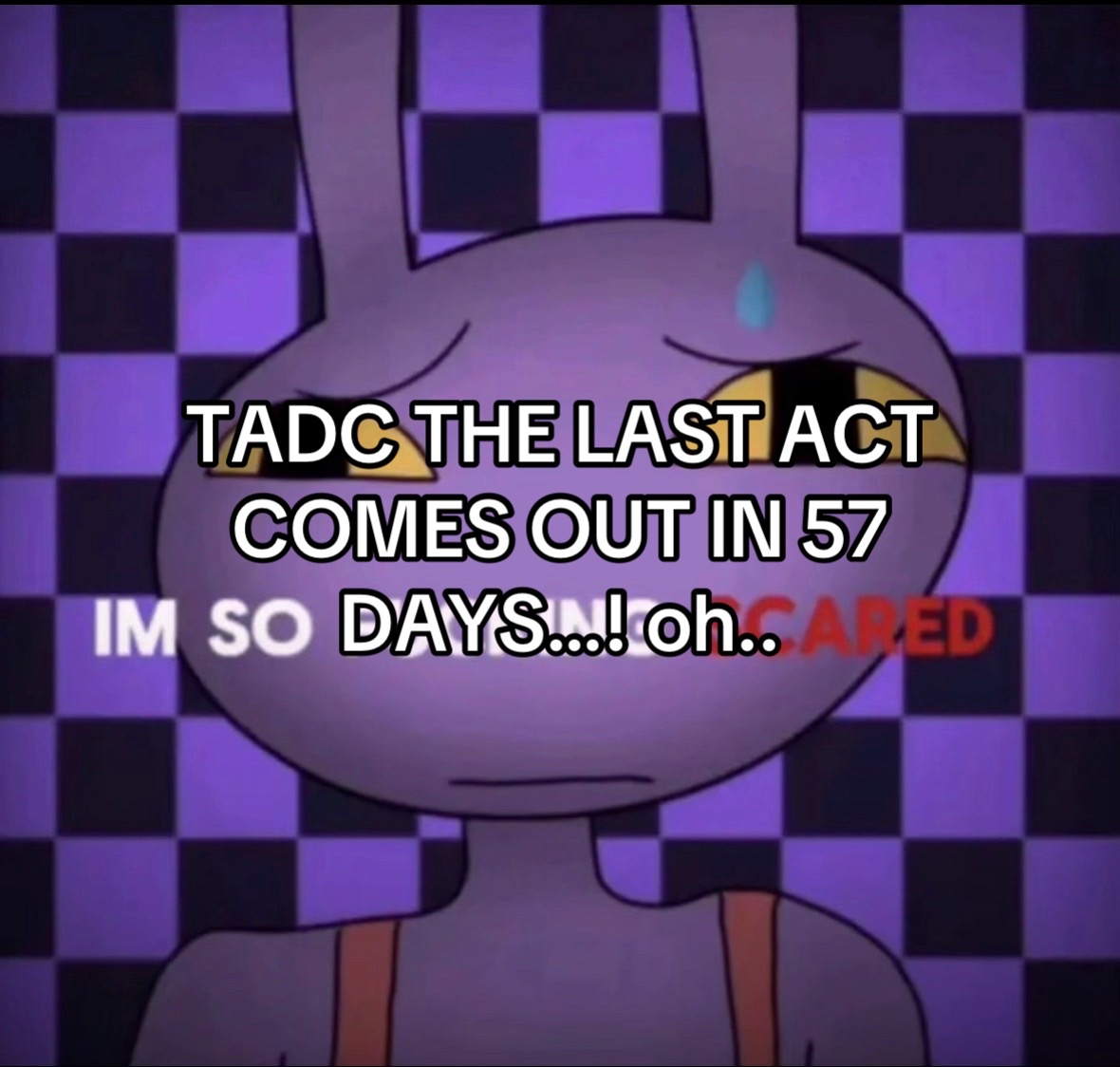 @🎪𝓵𝓮𝓸🎪