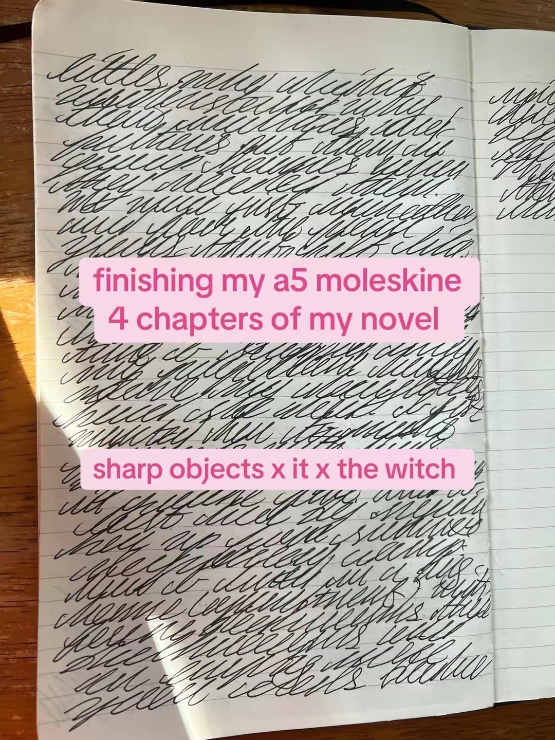@Dylan | Writer | CC 📚🦋