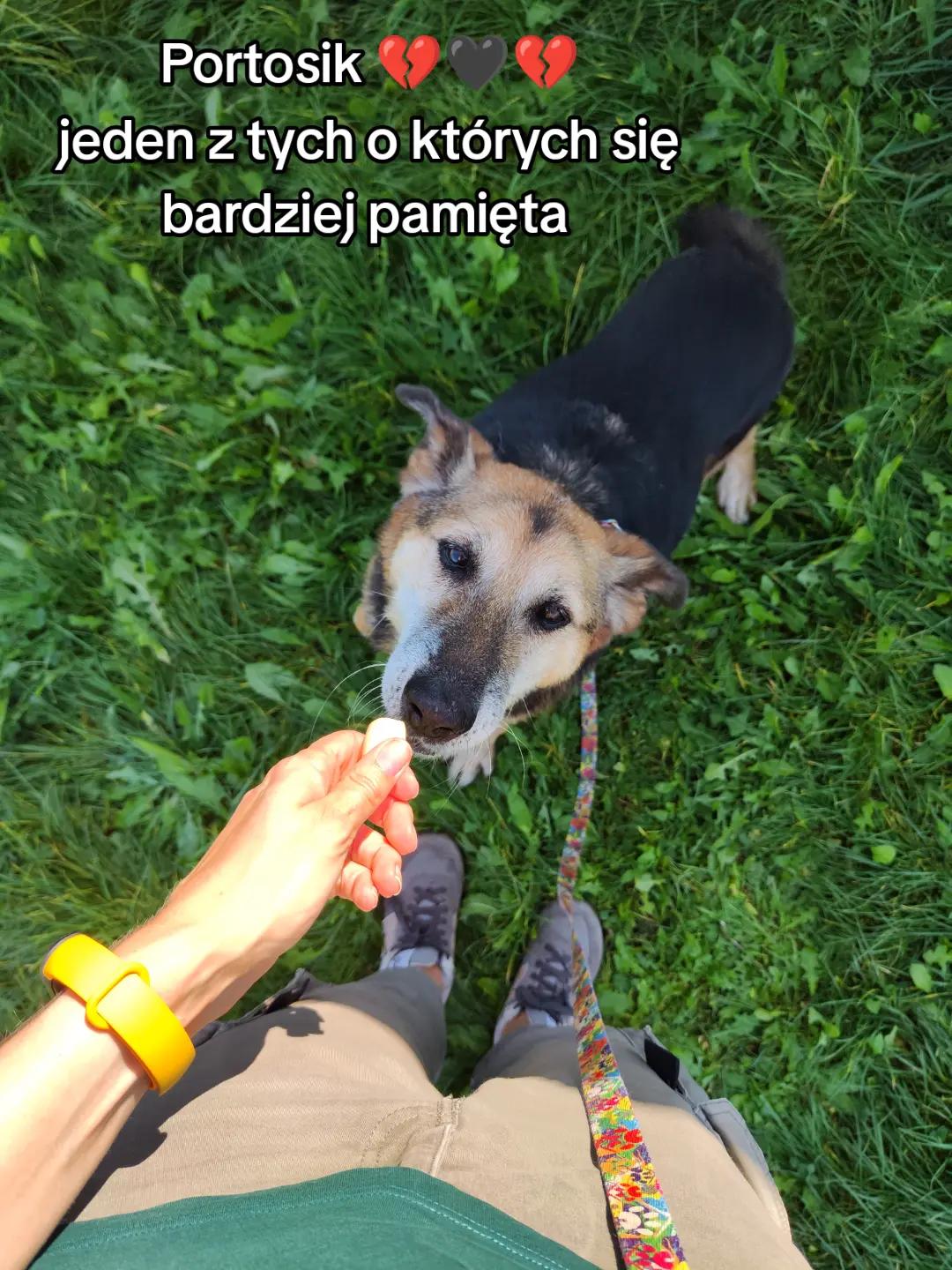 @Bezdomniaki_ze_śląska
