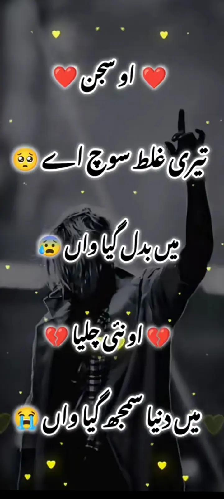 @ariba.bhatti