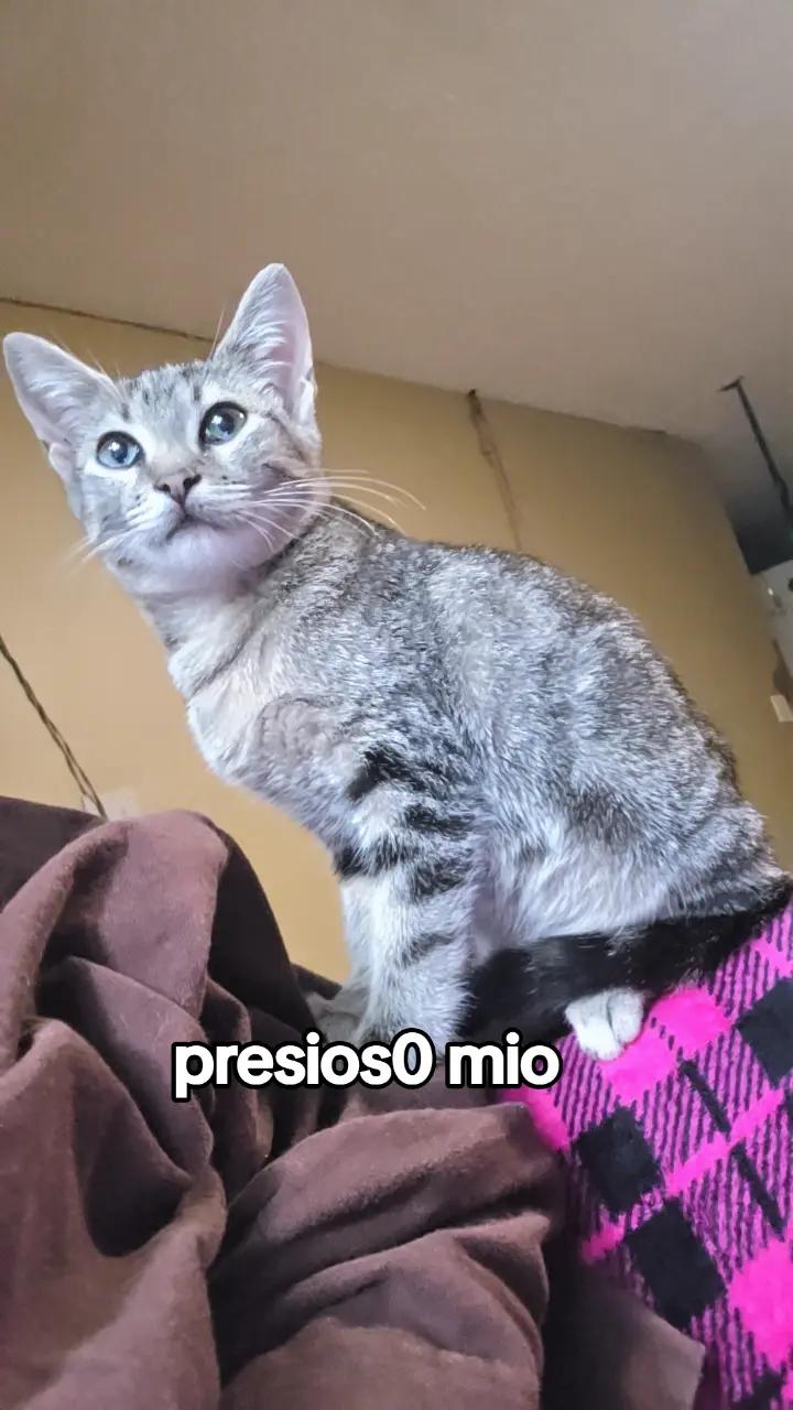 @🐰ANALIA🍆×××🐇