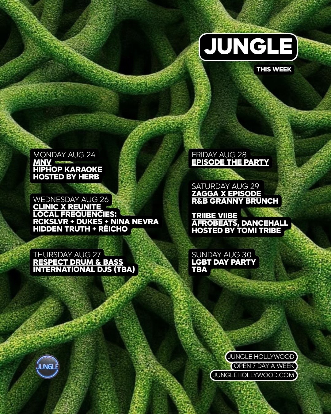 @Jungle Hollywood