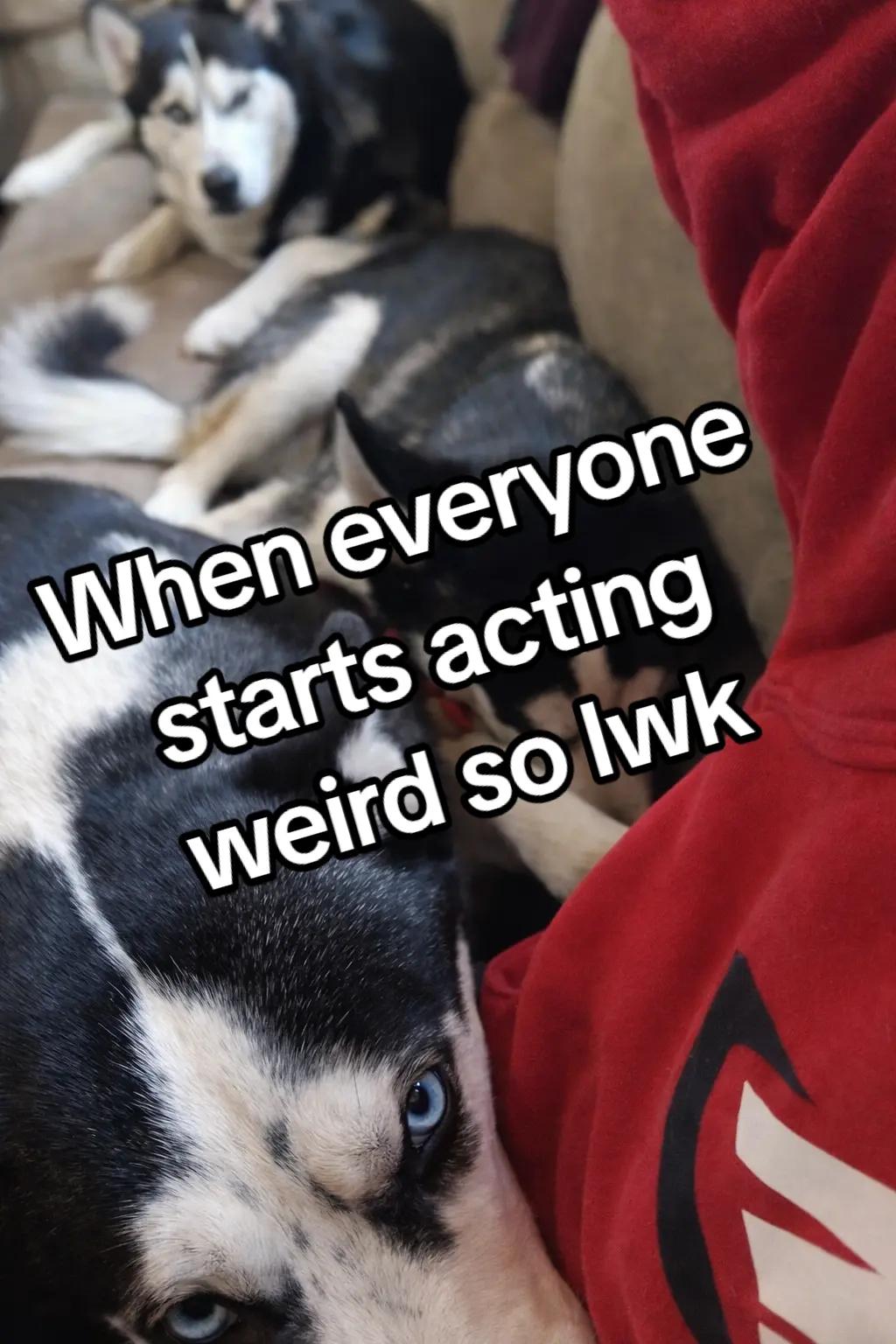 @โ