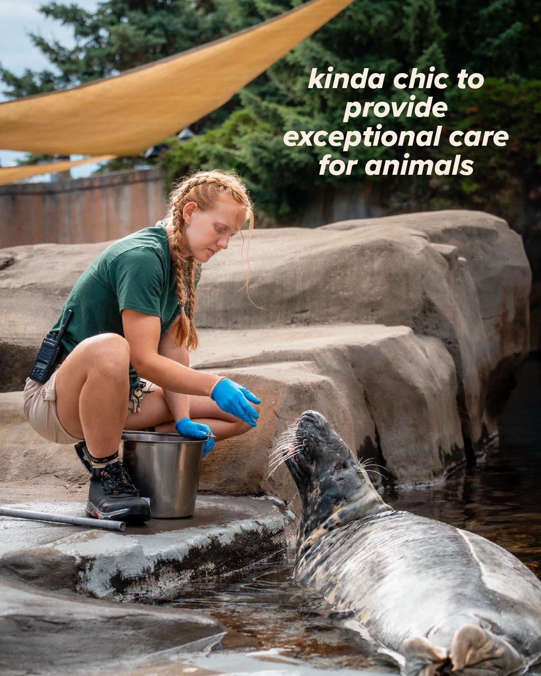 @The Toledo Zoo